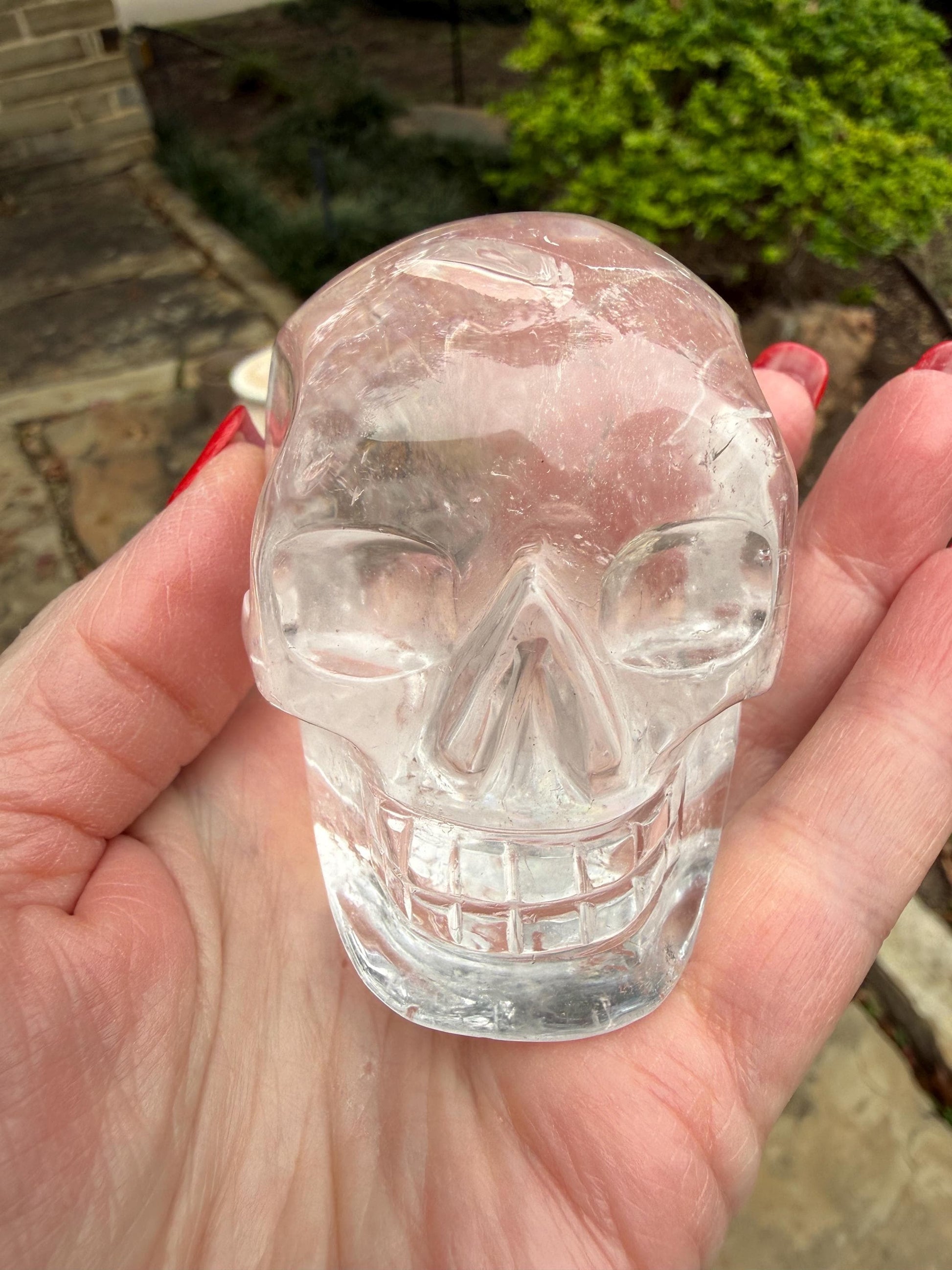 Lemurian Quartz stunning skull carving, high vibration crystals, altar, 3”