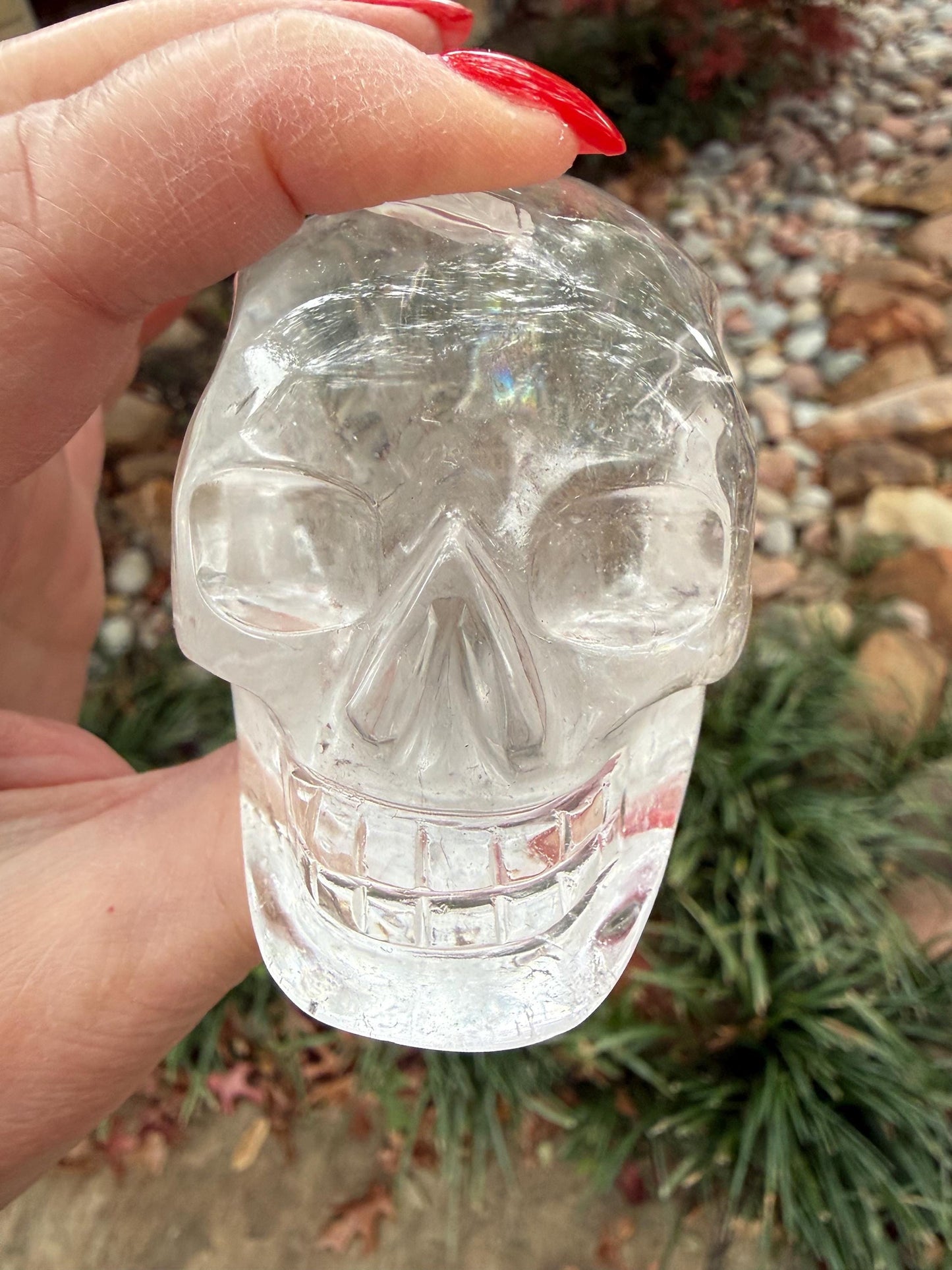 Lemurian Quartz stunning skull carving, high vibration crystals, altar, 3”