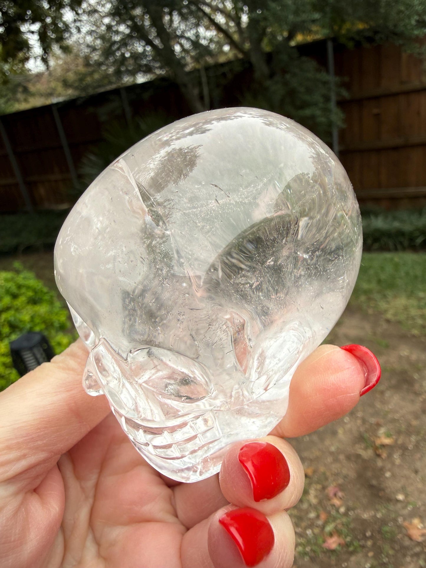 Lemurian Quartz stunning skull carving, high vibration crystals, altar, 3”