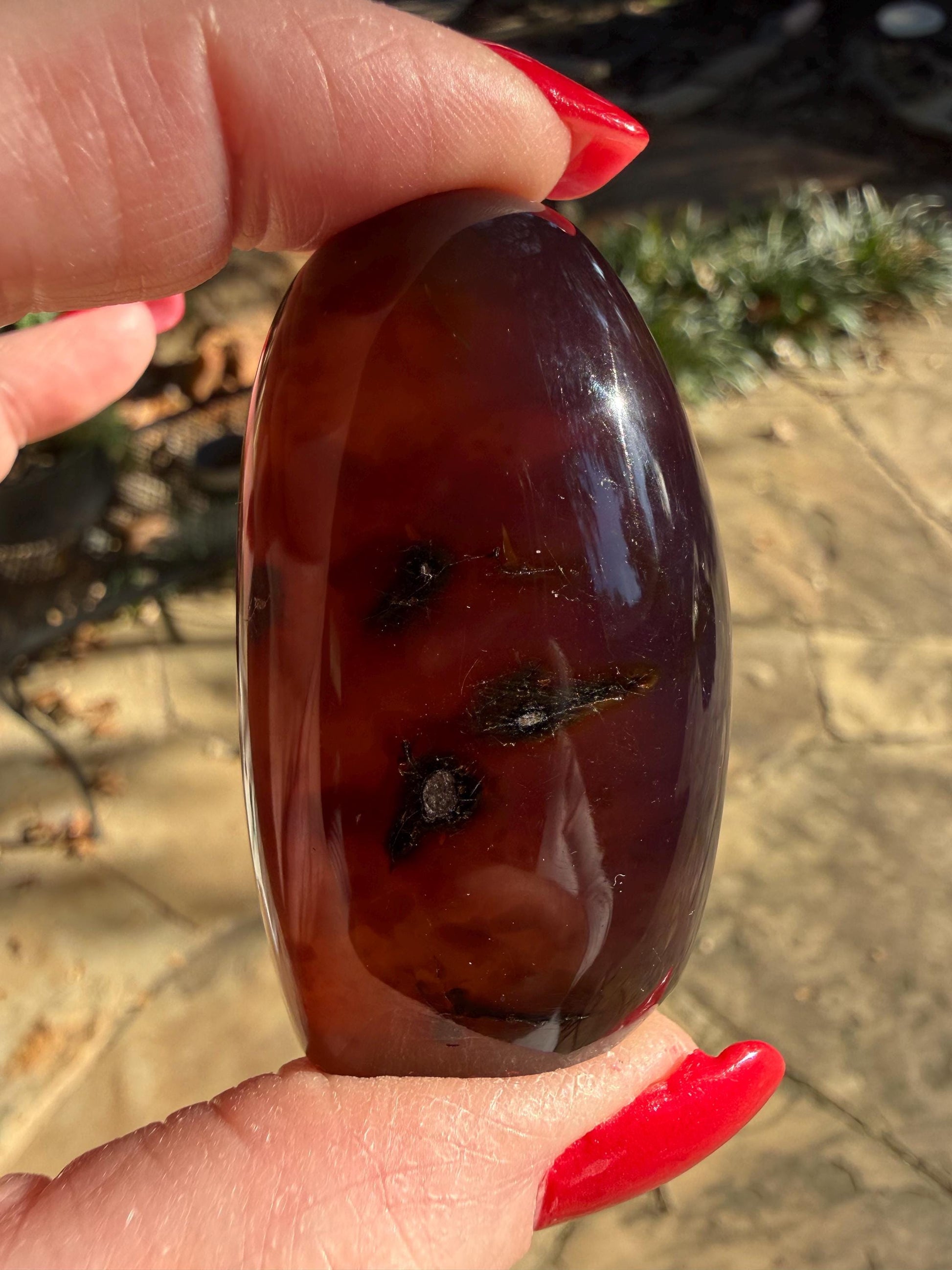 Polished authentic amber Freeform, altar, gift, high vibration crystals, crystal healing, 2.25”