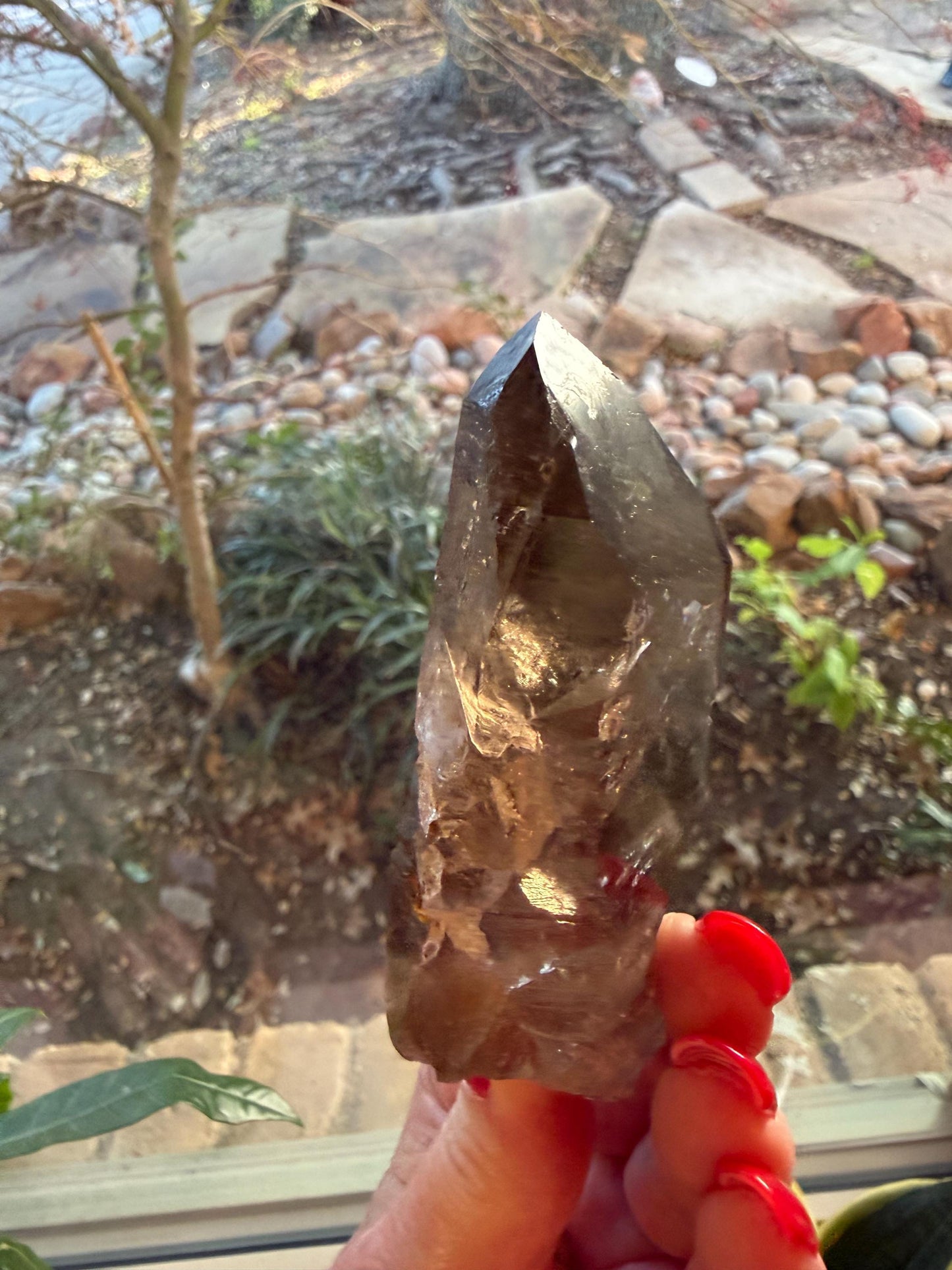 Smoky Lemurian wand, 3.5”, record keepers, high vibration crystals, crystal healing, gift