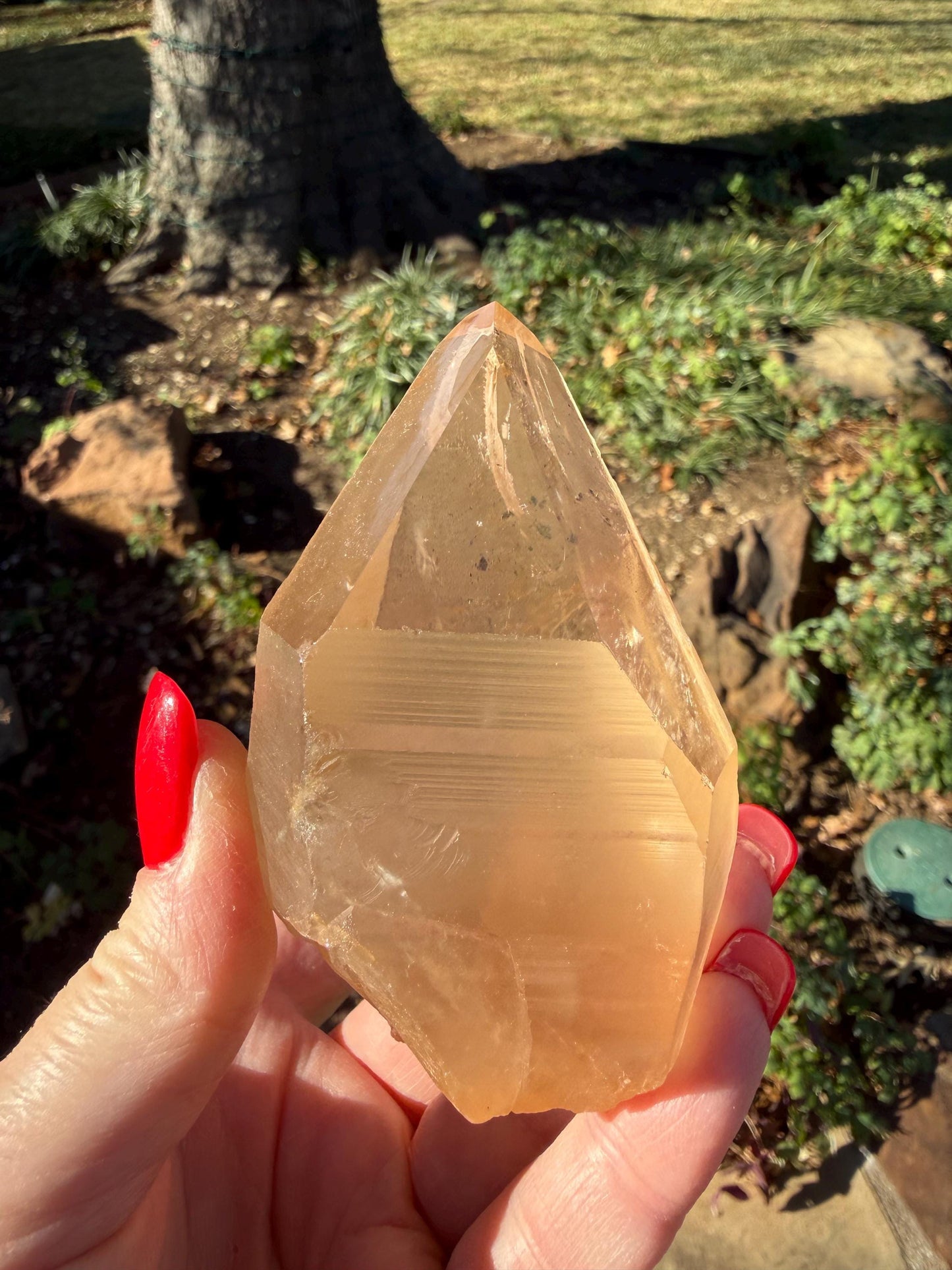 Rare Record Keeper Gold Lemurian, new, high quality, 3.5”, crystal healing, gift