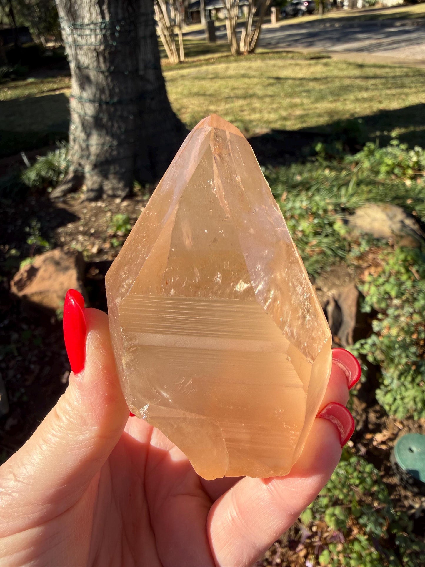 Rare Record Keeper Gold Lemurian, new, high quality, 3.5”, crystal healing, gift