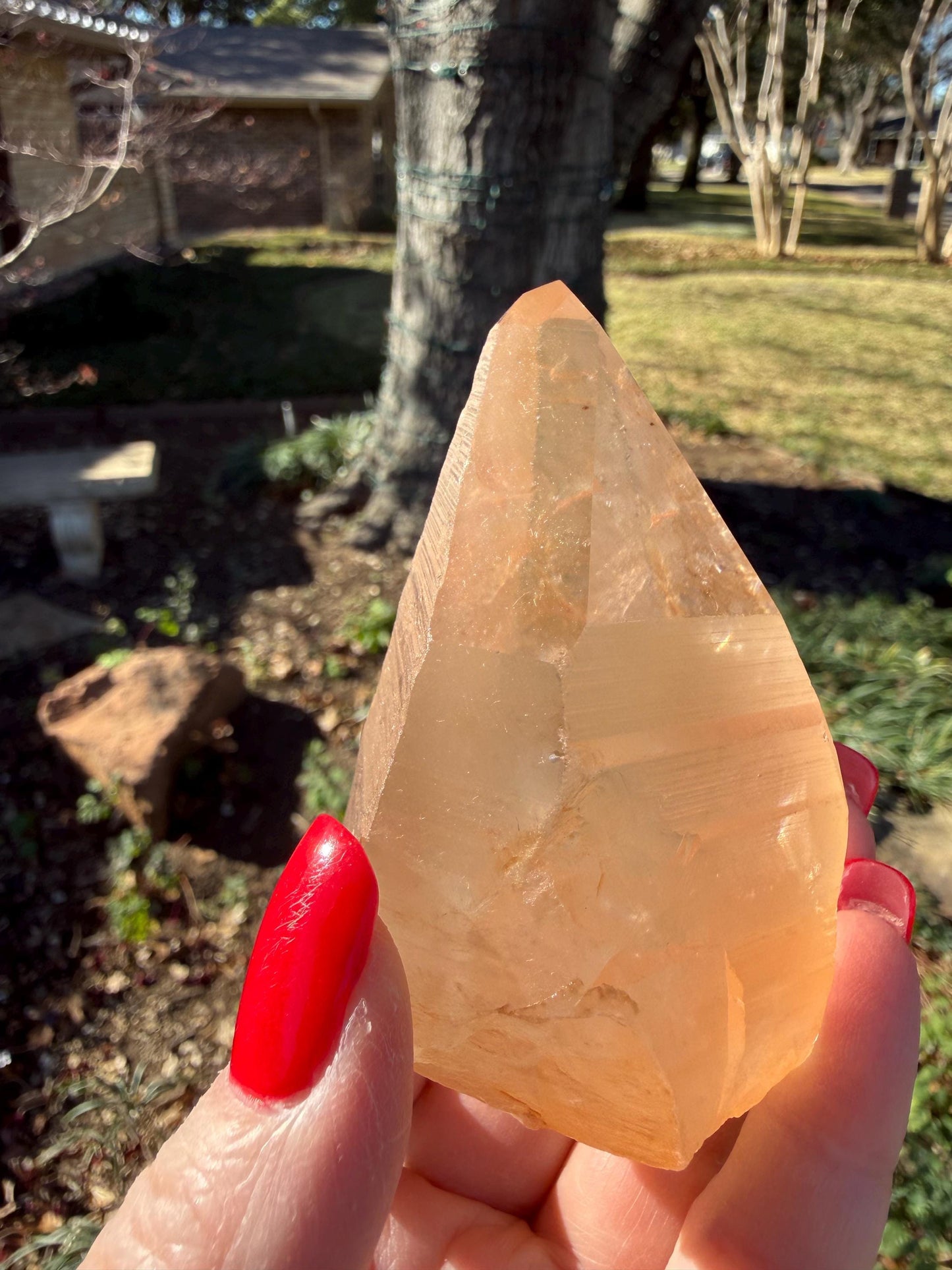 Rare Record Keeper Gold Lemurian, new, high quality, 3.5”, crystal healing, gift