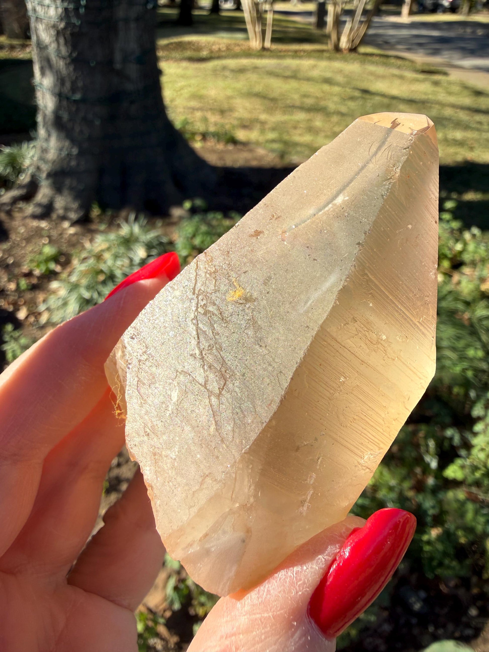Rare Record Keeper Gold Lemurian, new, high quality, 3.5”, crystal healing, gift