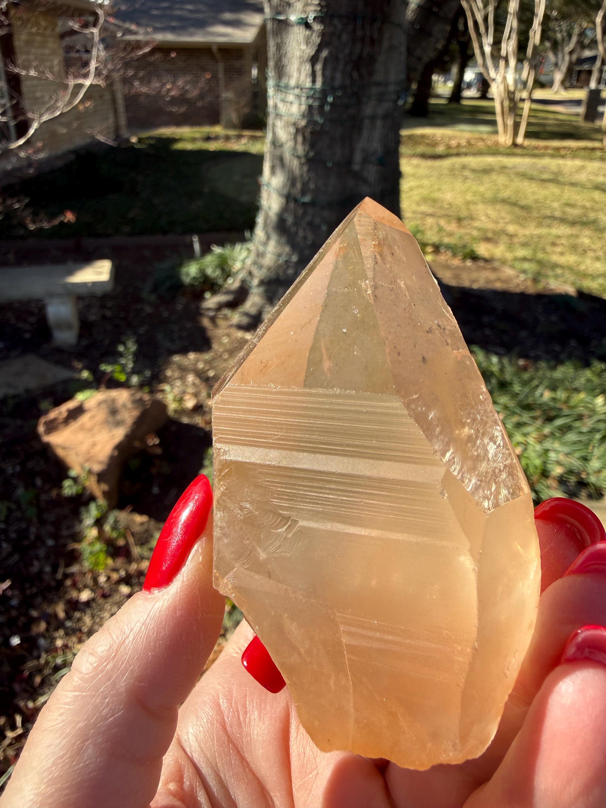 Rare Record Keeper Gold Lemurian, new, high quality, 3.5”, crystal healing, gift