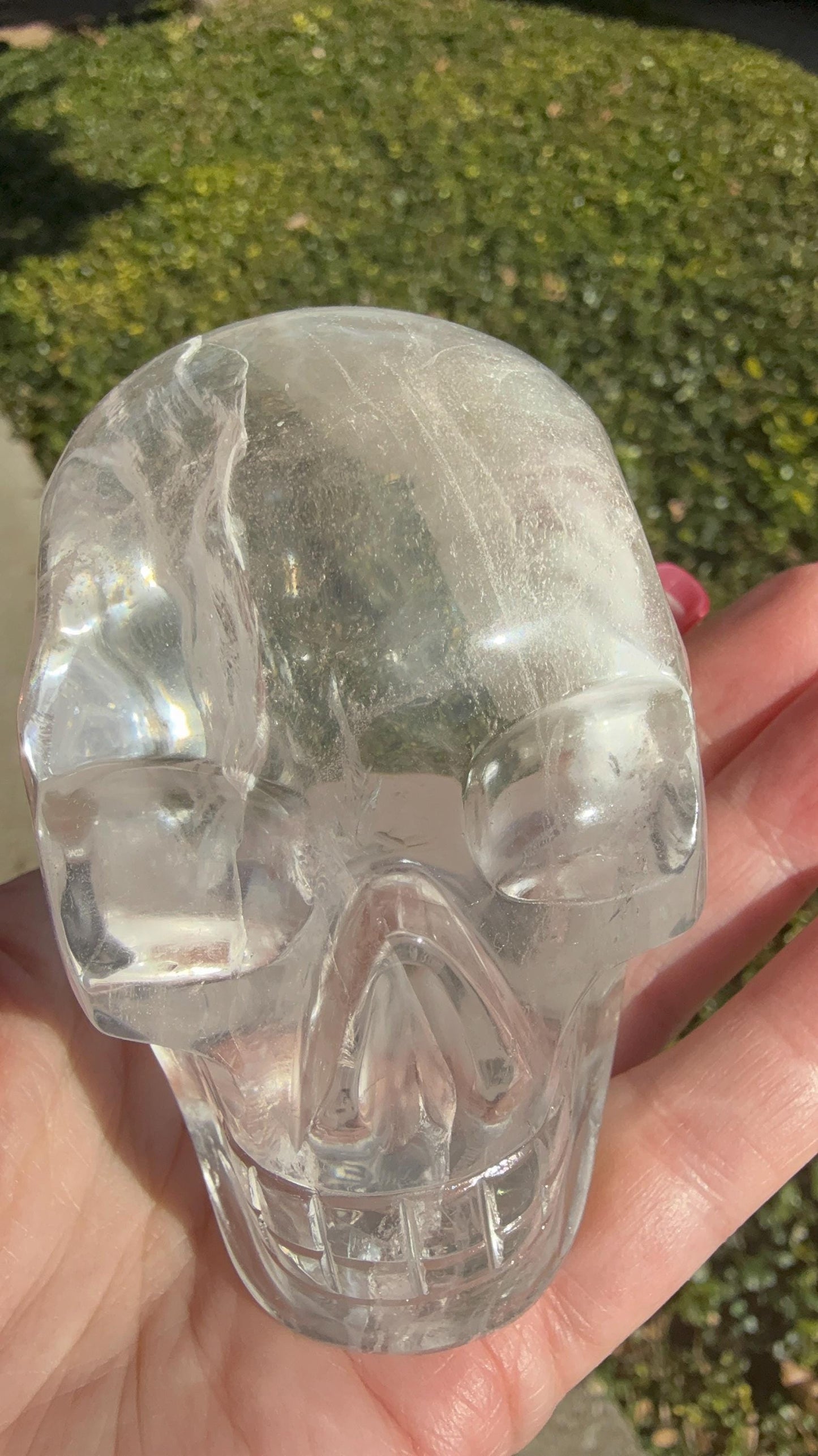 Lemurian Quartz stunning skull carving, high vibration crystals, altar, 3.5”