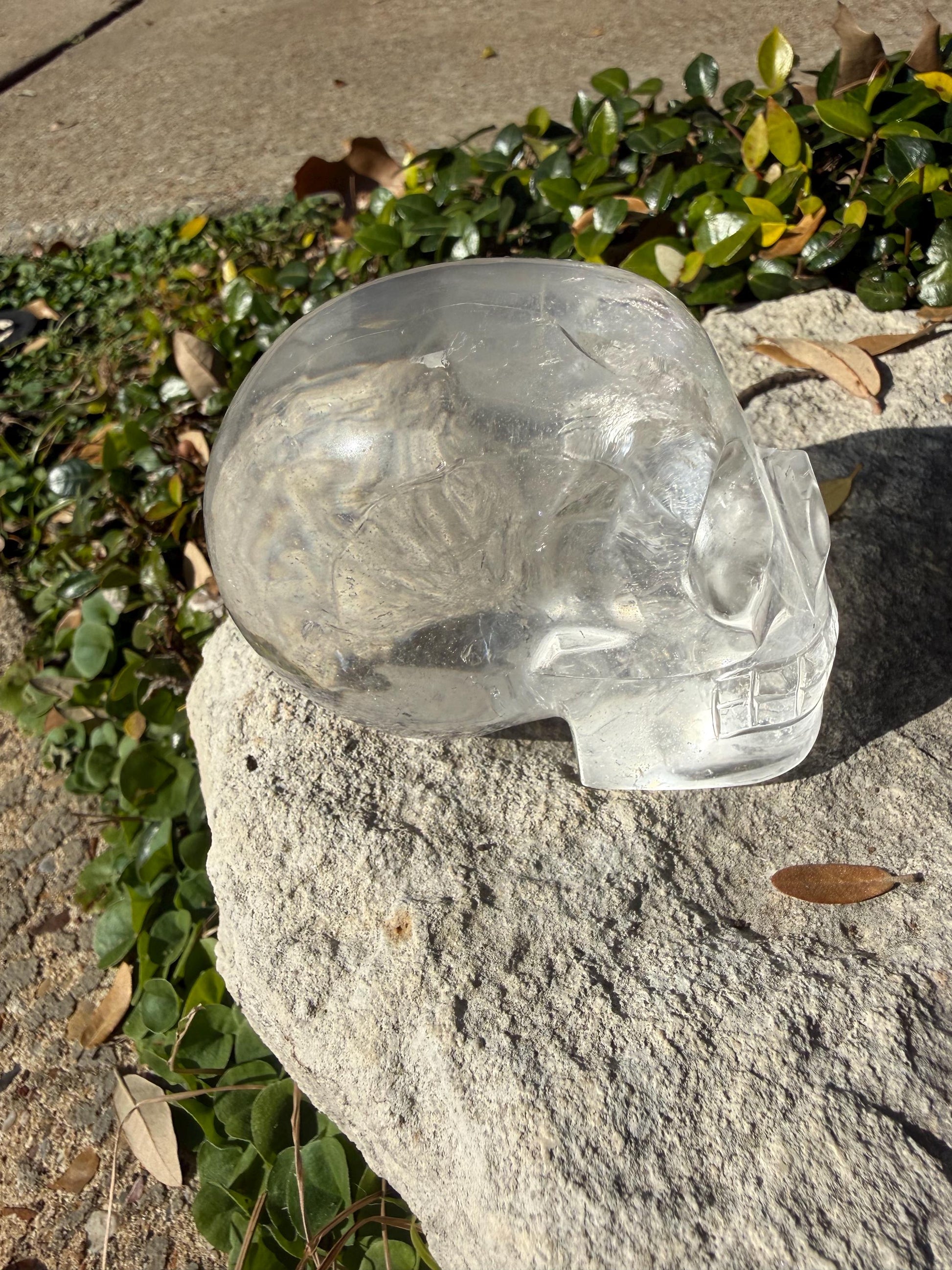 Lemurian Quartz stunning skull carving, high vibration crystals, altar, 3.5”