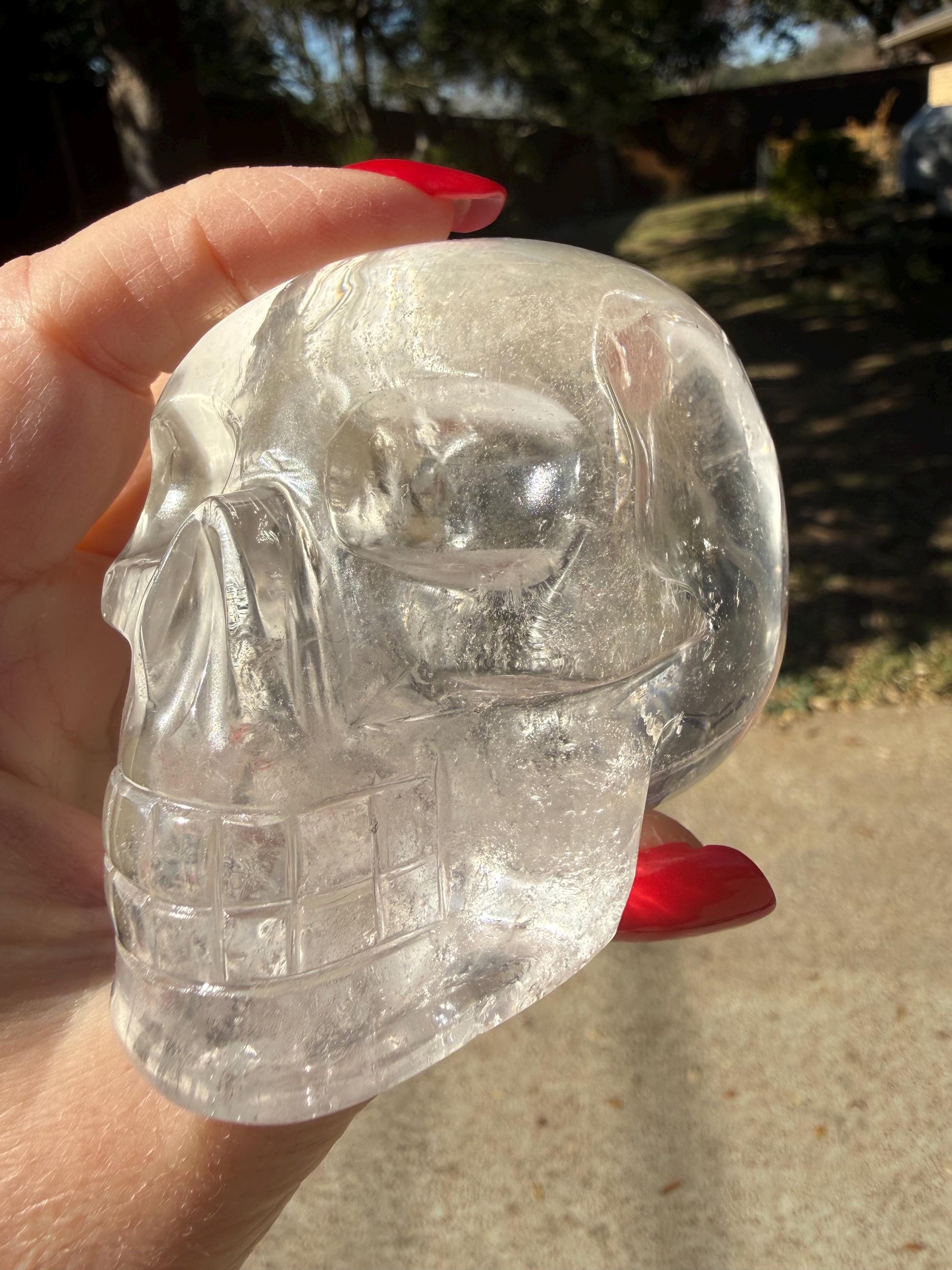 Lemurian Quartz stunning skull carving, high vibration crystals, altar, 3.5”