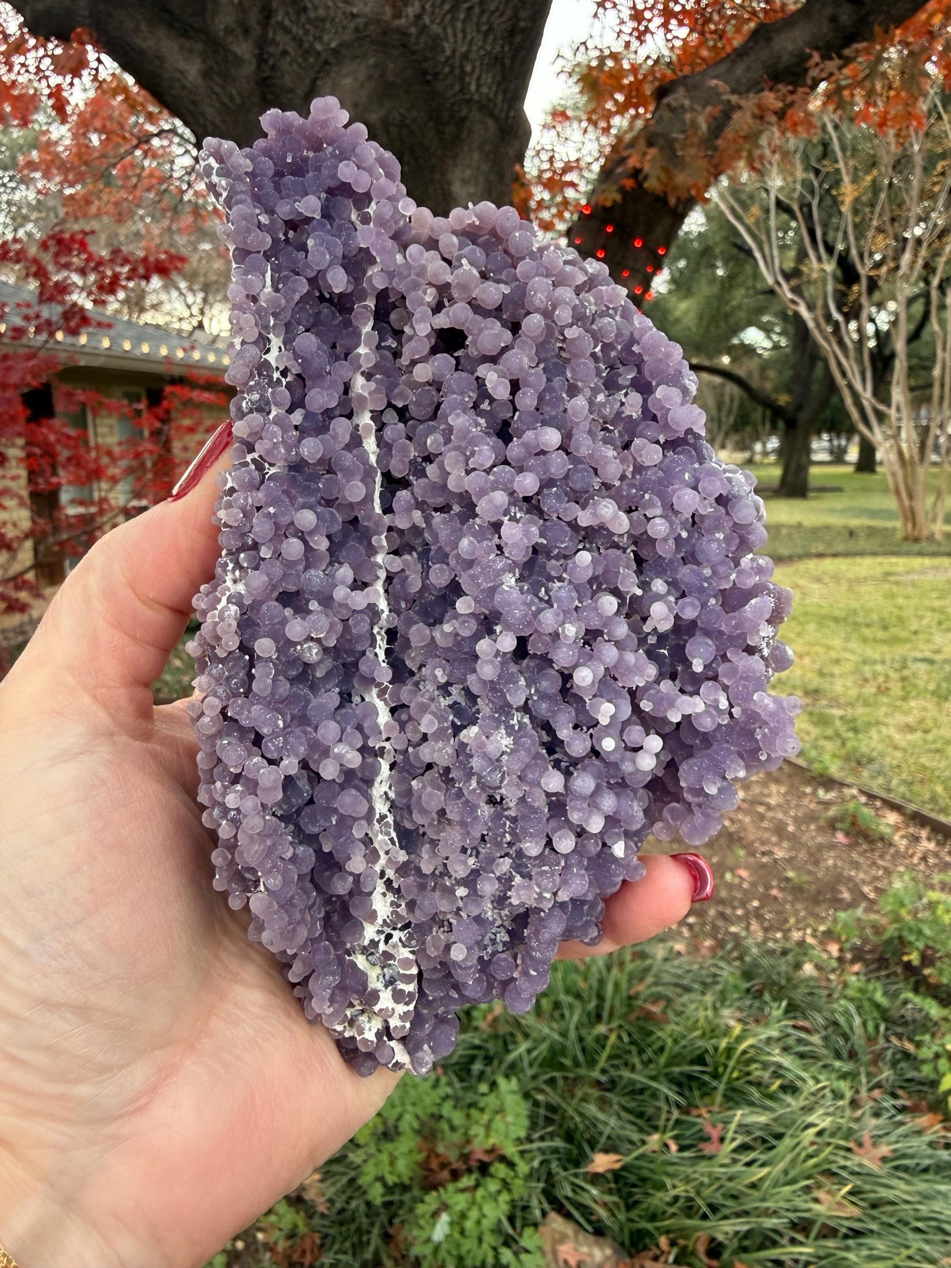 Sparkly Grape Agate Cluster Bed, gift, altar, statement piece, new, high vibration crystals, 6.5”