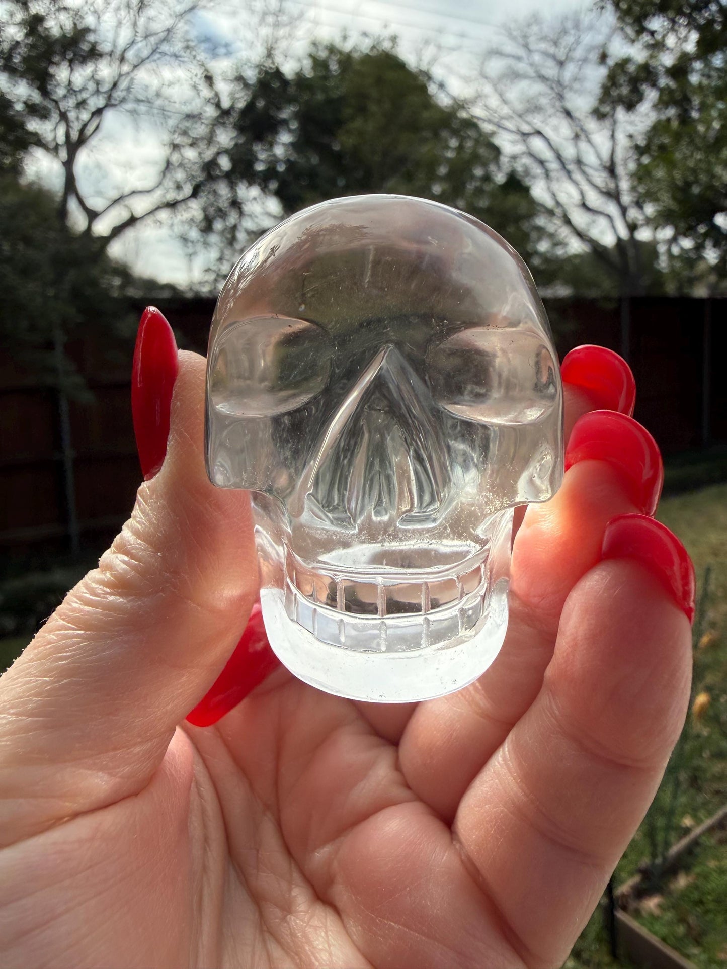 Lemurian Quartz stunning skull carving, high vibration crystals, altar, 2”, Raguel