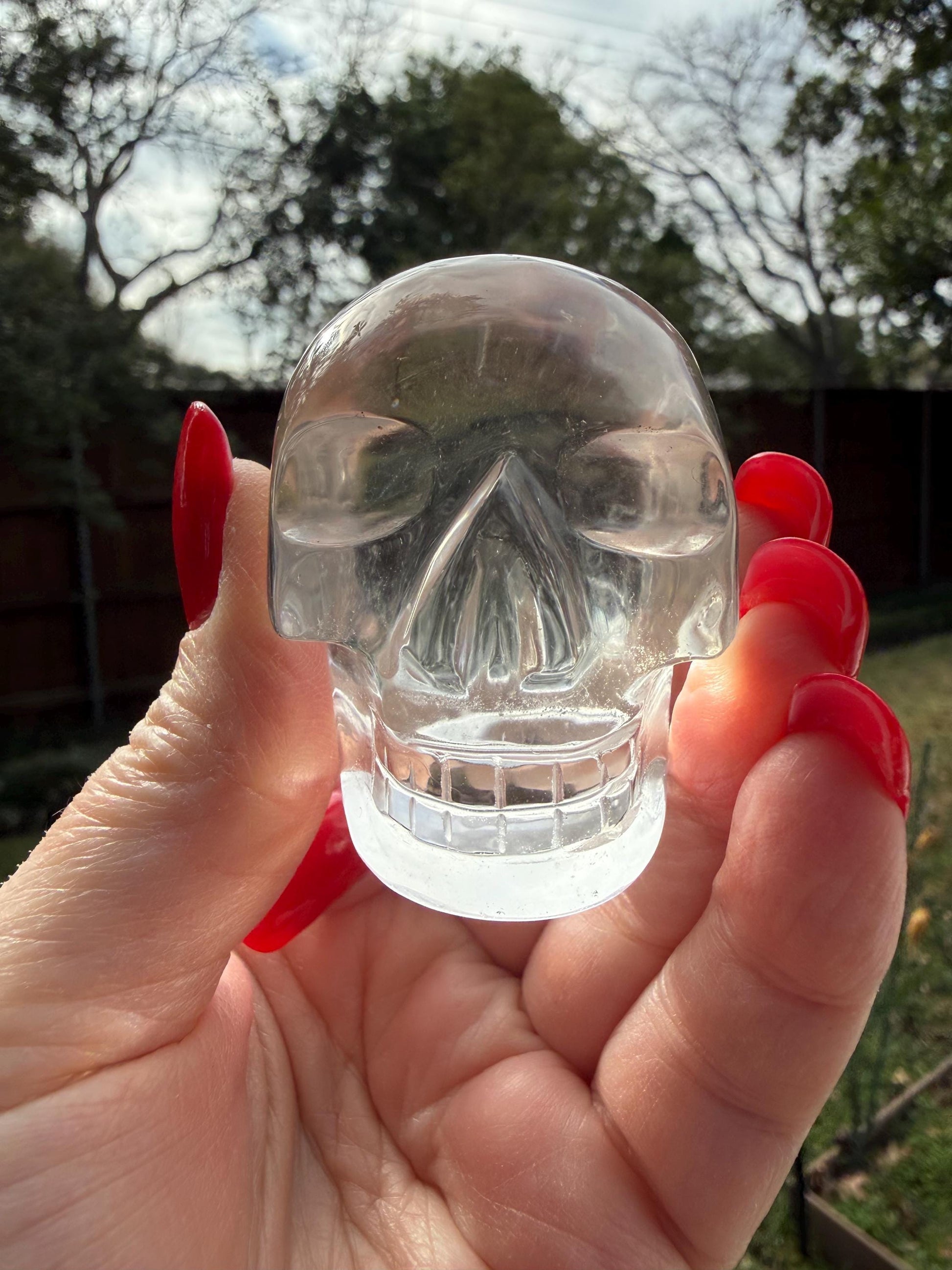 Lemurian Quartz stunning skull carving, high vibration crystals, altar, 2”, Raguel