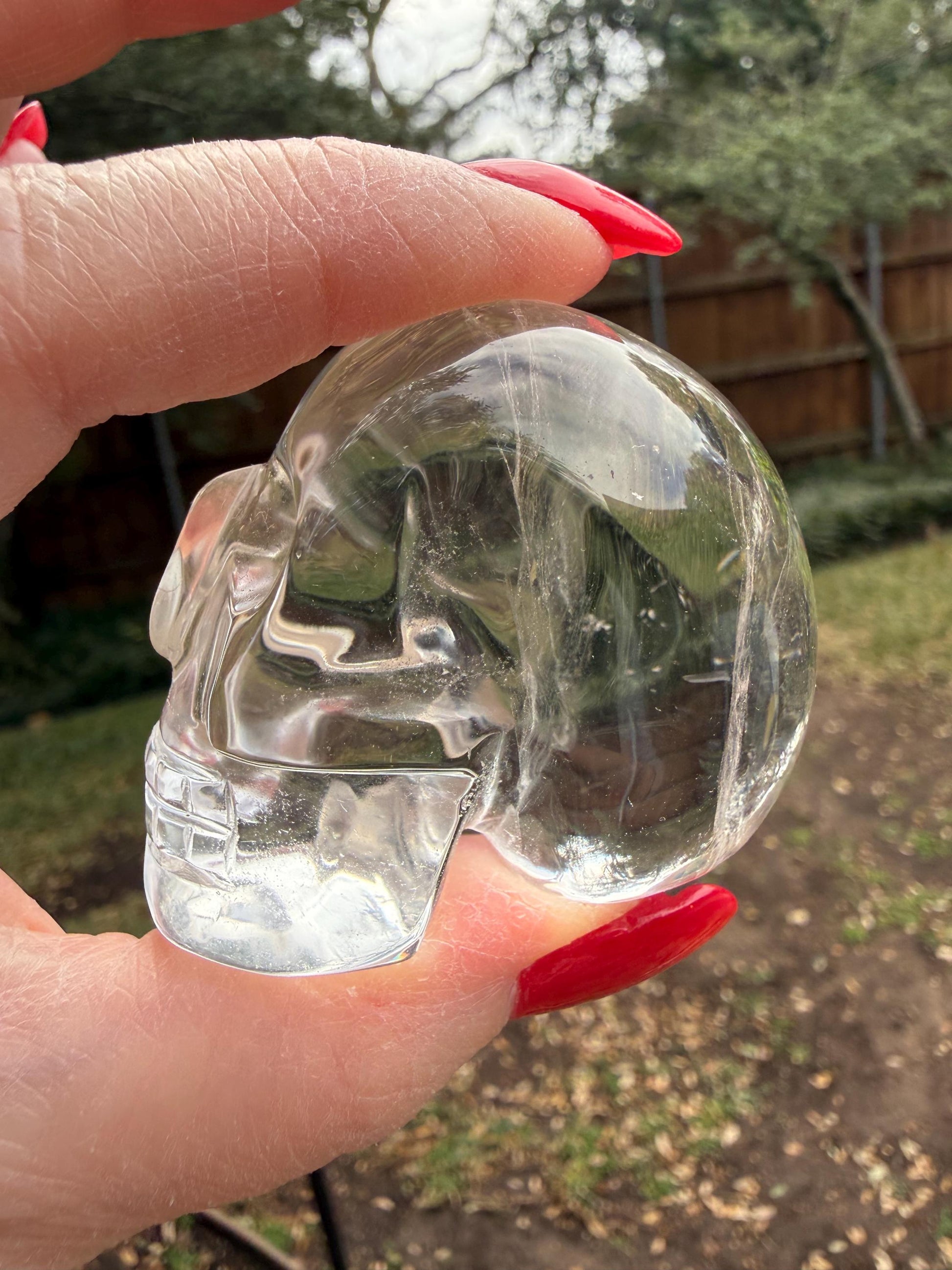 Lemurian Quartz stunning skull carving, high vibration crystals, altar, 2”, Raguel