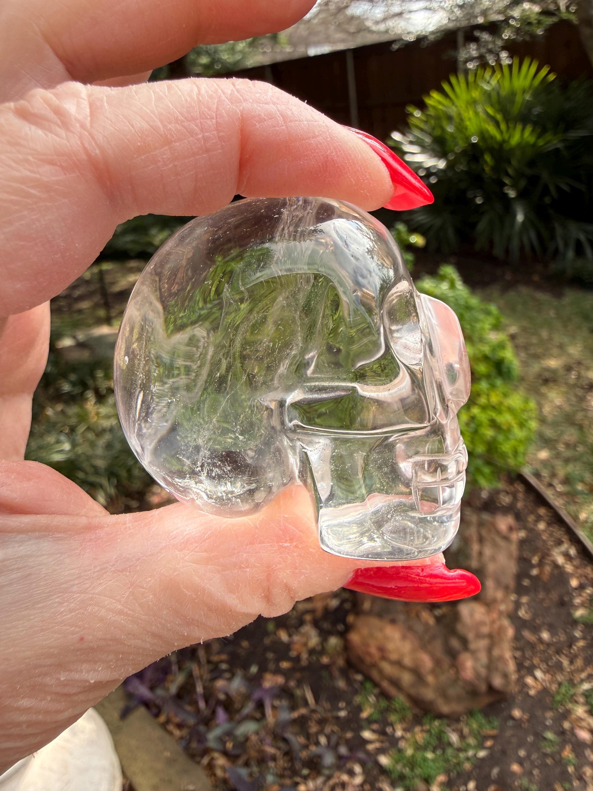 Lemurian Quartz stunning skull carving, high vibration crystals, altar, 2”, Raguel
