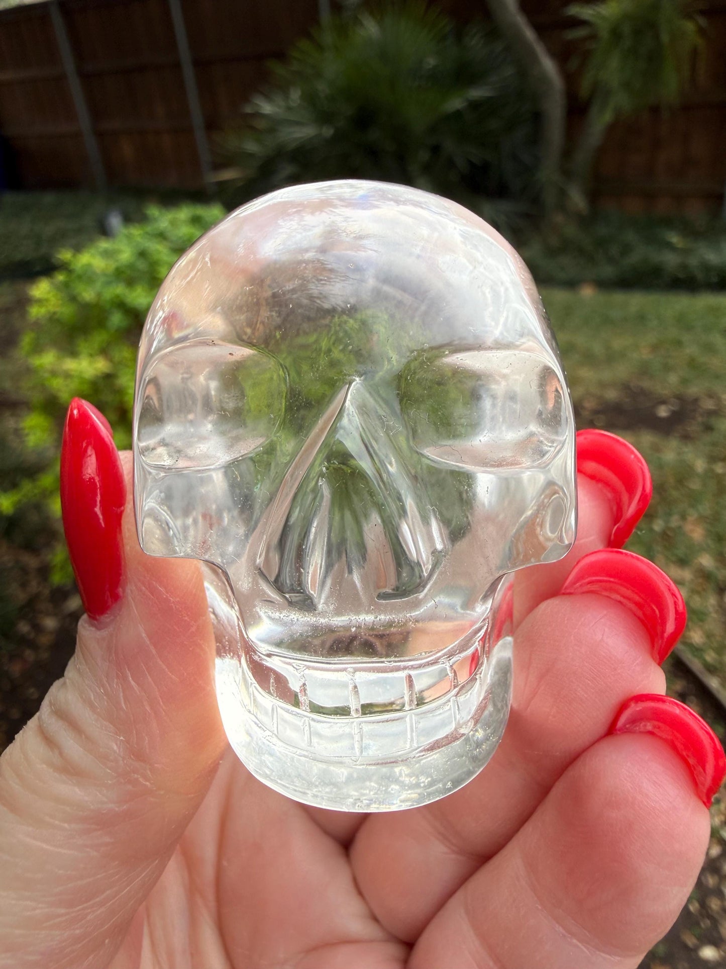 Lemurian Quartz stunning skull carving, high vibration crystals, altar, 2”, Raguel