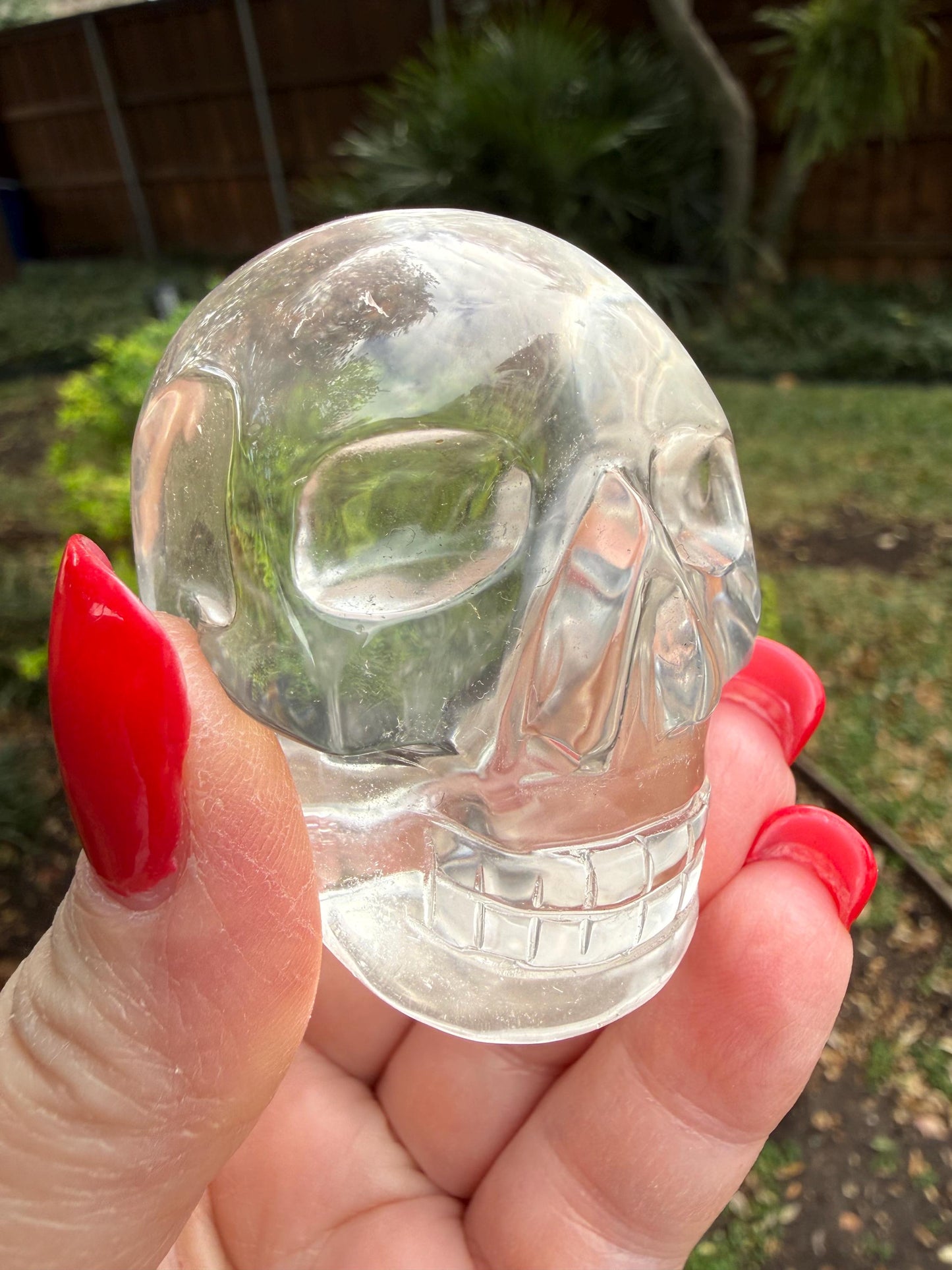 Lemurian Quartz stunning skull carving, high vibration crystals, altar, 2”, Raguel