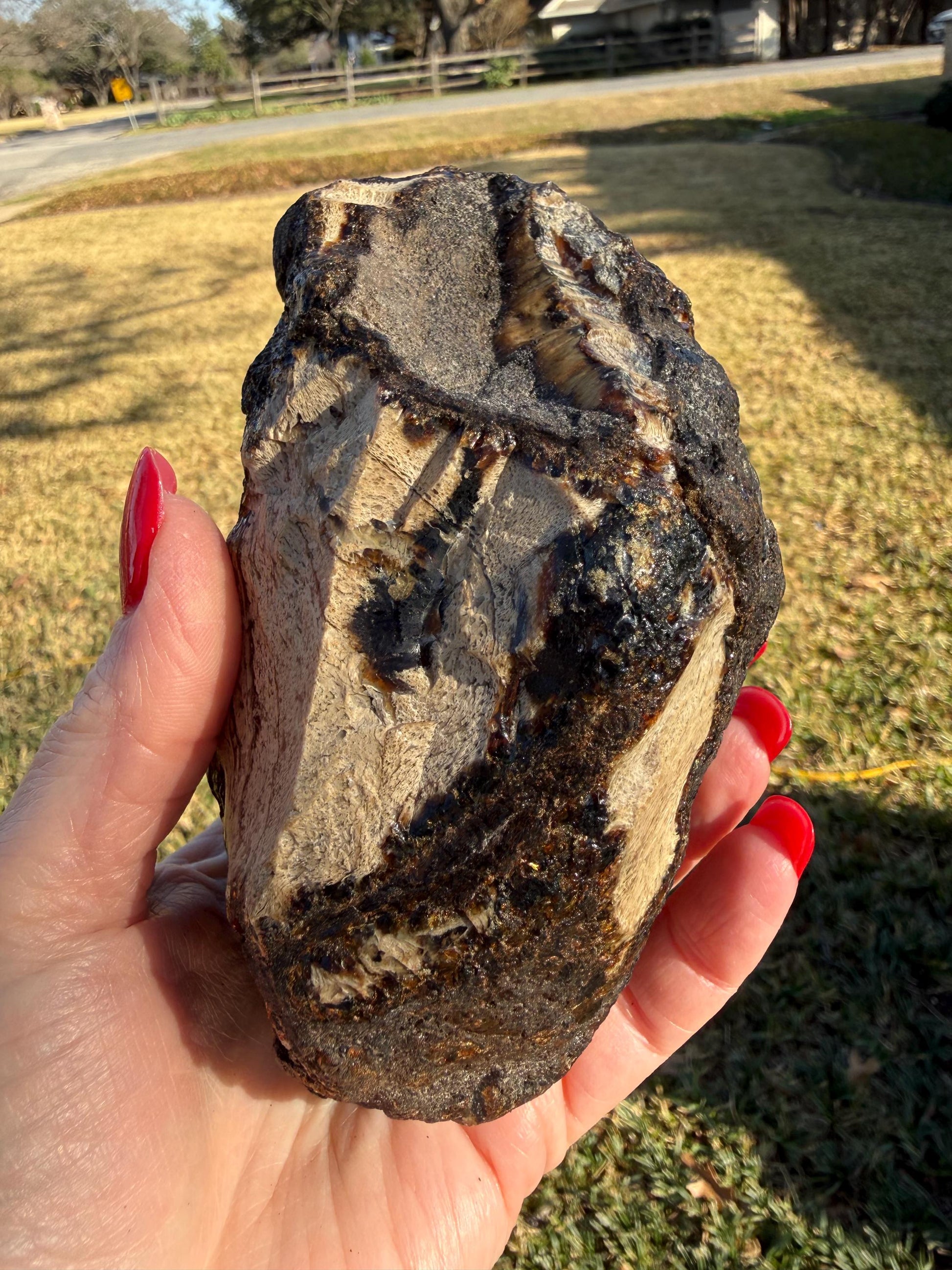 Large raw amber, Glorious Beautiful Amazing Color, altar, gift, new, 5.5”, healing crystals