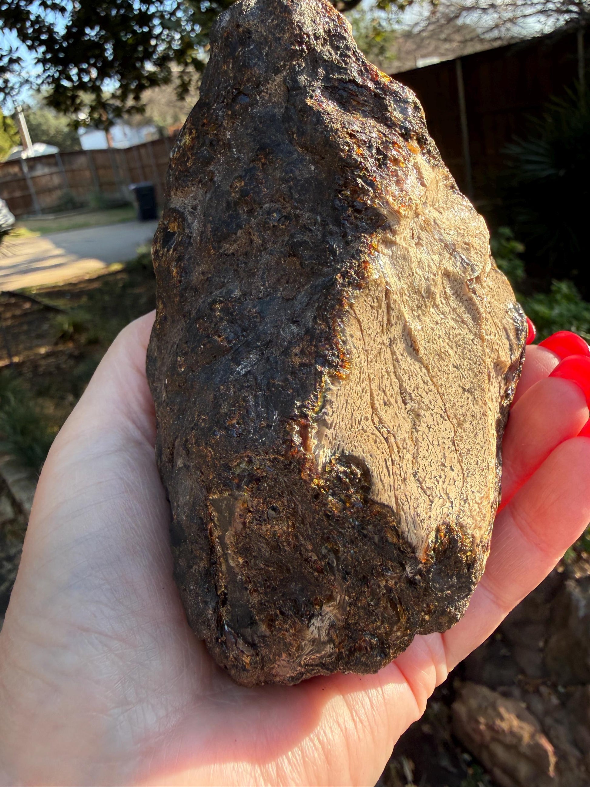 Large raw amber, Glorious Beautiful Amazing Color, altar, gift, new, 5.5”, healing crystals