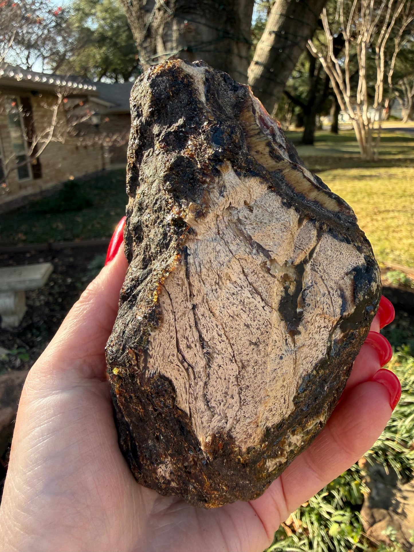 Large raw amber, Glorious Beautiful Amazing Color, altar, gift, new, 5.5”, healing crystals