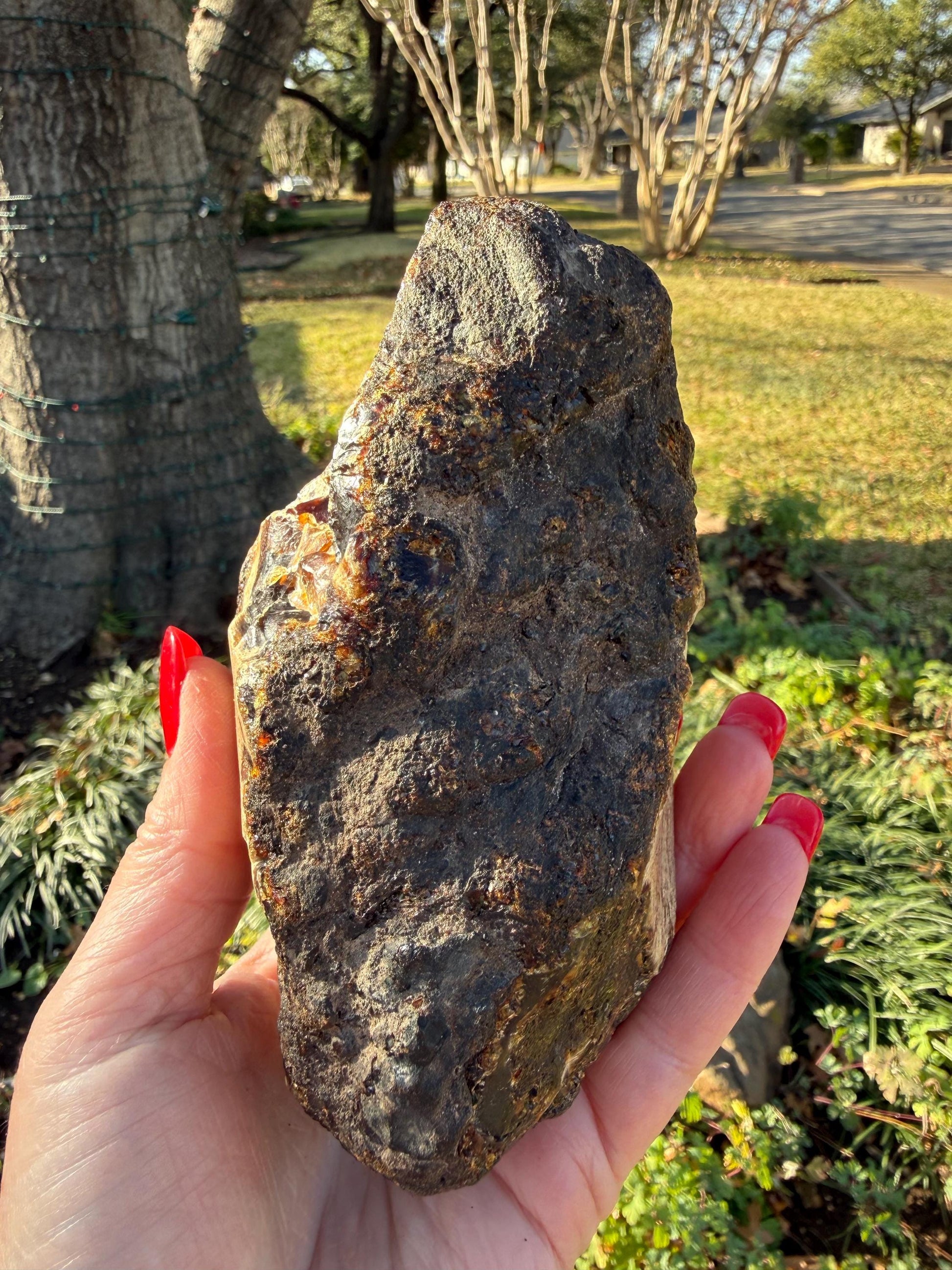 Large raw amber, Glorious Beautiful Amazing Color, altar, gift, new, 5.5”, healing crystals