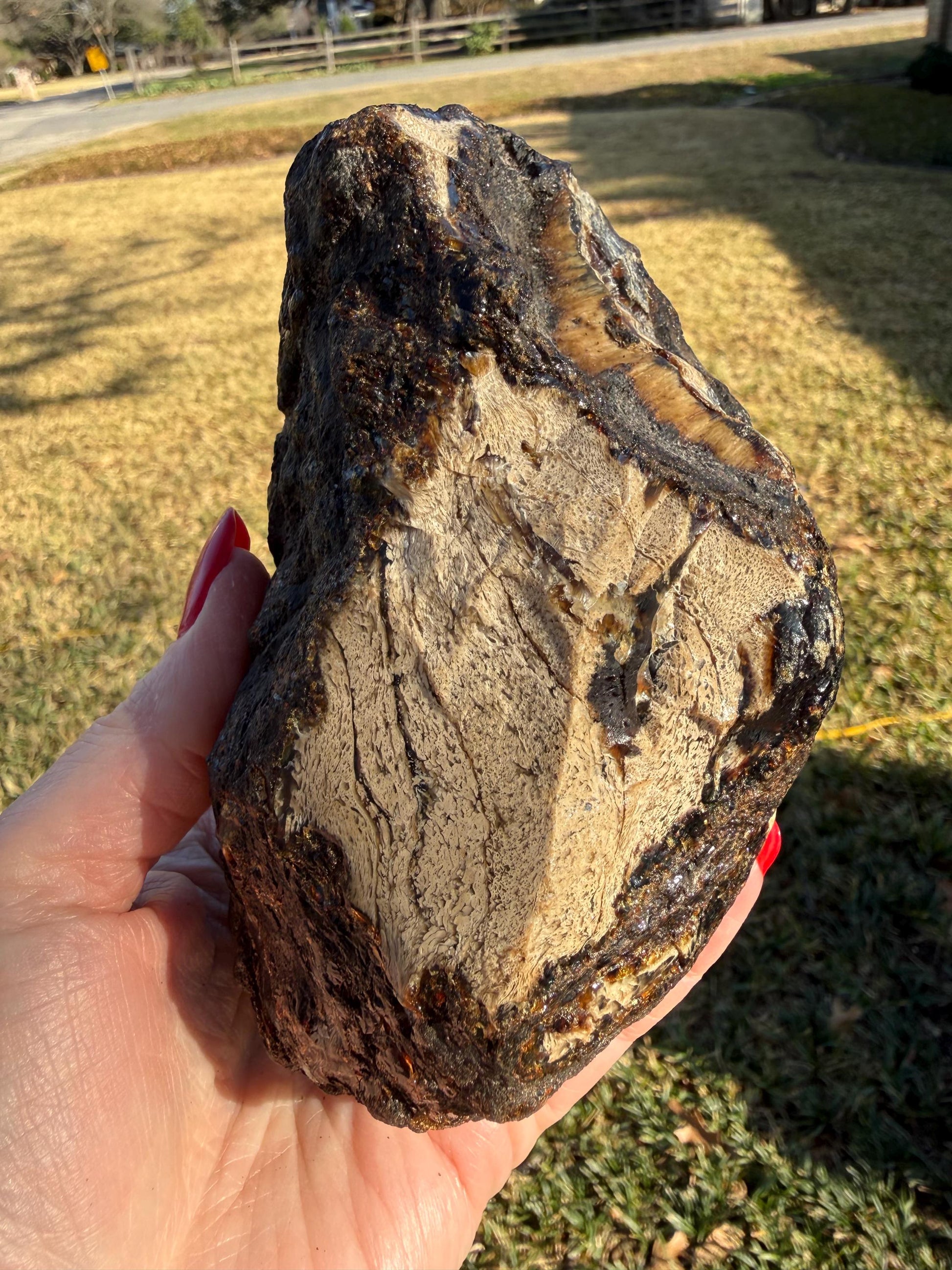 Large raw amber, Glorious Beautiful Amazing Color, altar, gift, new, 5.5”, healing crystals