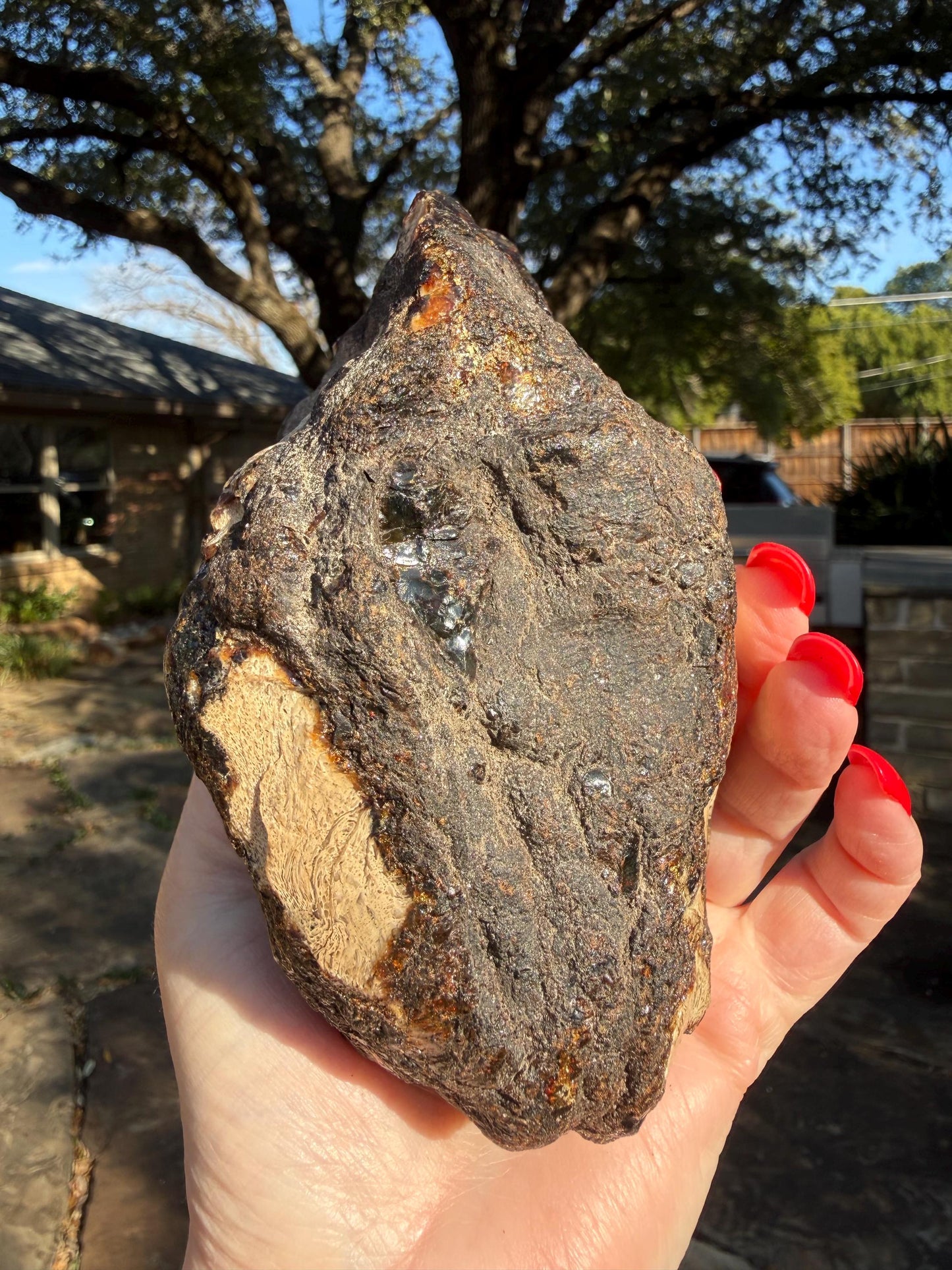 Large raw amber, Glorious Beautiful Amazing Color, altar, gift, new, 5.5”, healing crystals