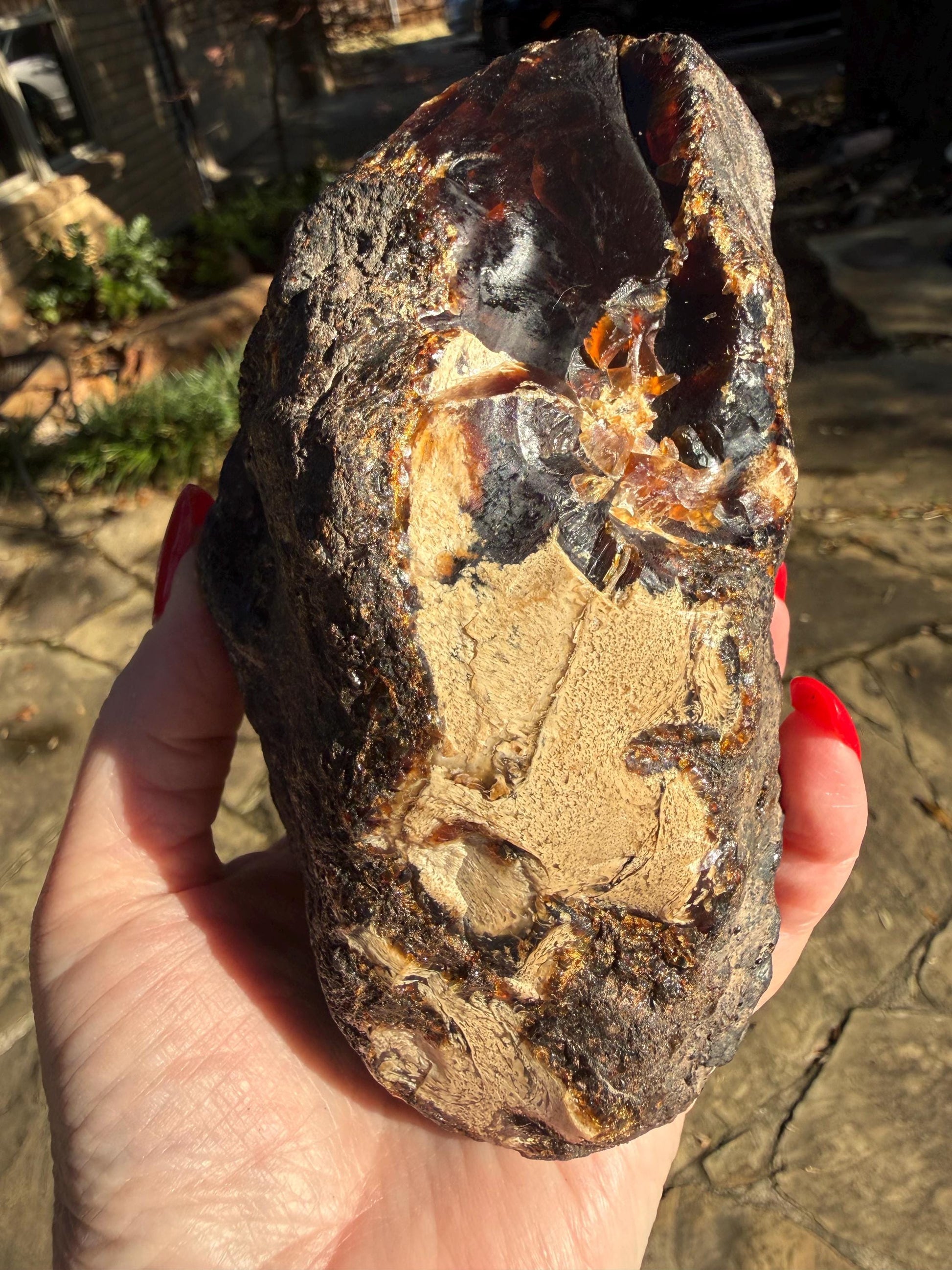 Large raw amber, Glorious Beautiful Amazing Color, altar, gift, new, 5.5”, healing crystals