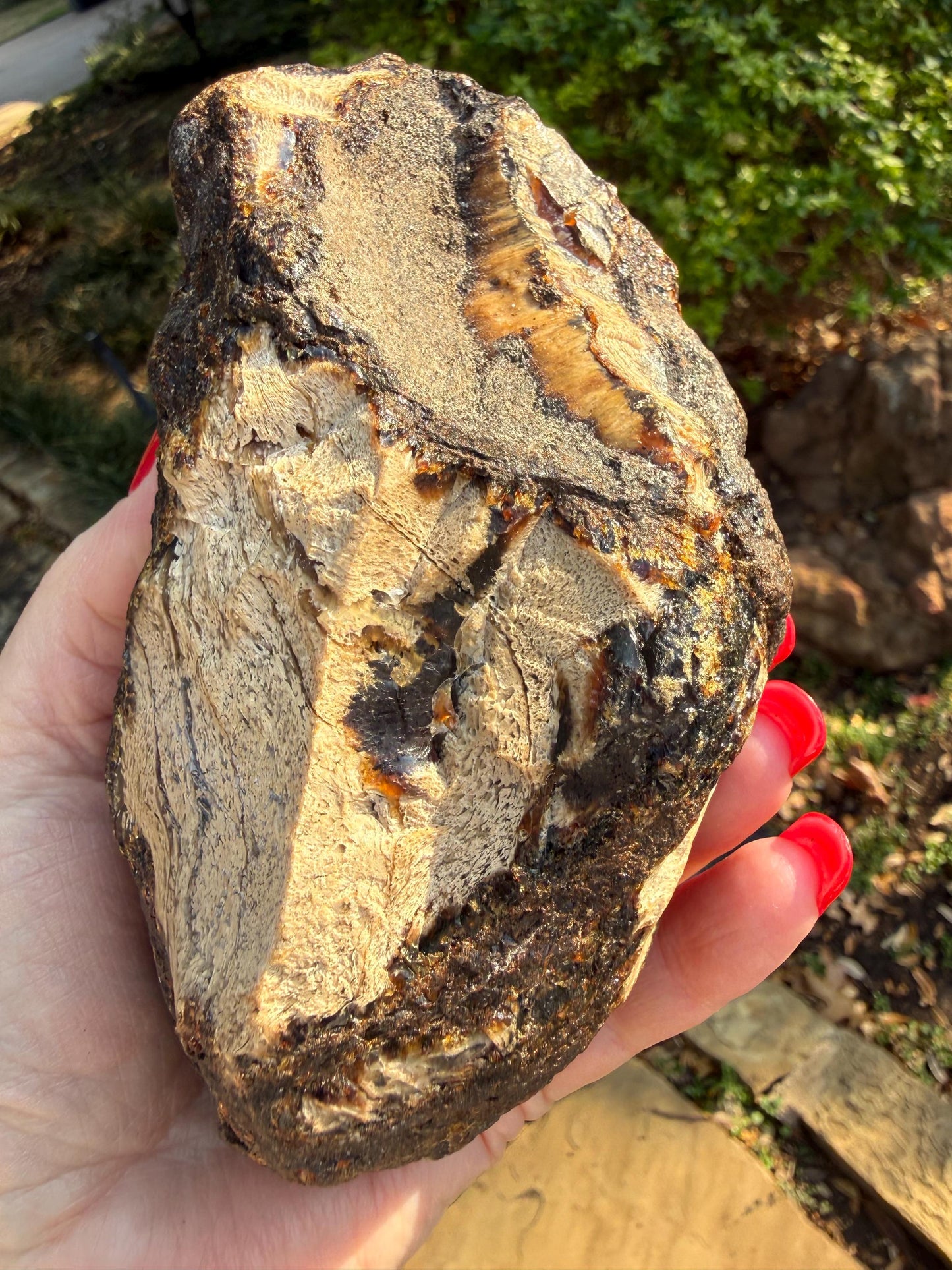 Large raw amber, Glorious Beautiful Amazing Color, altar, gift, new, 5.5”, healing crystals