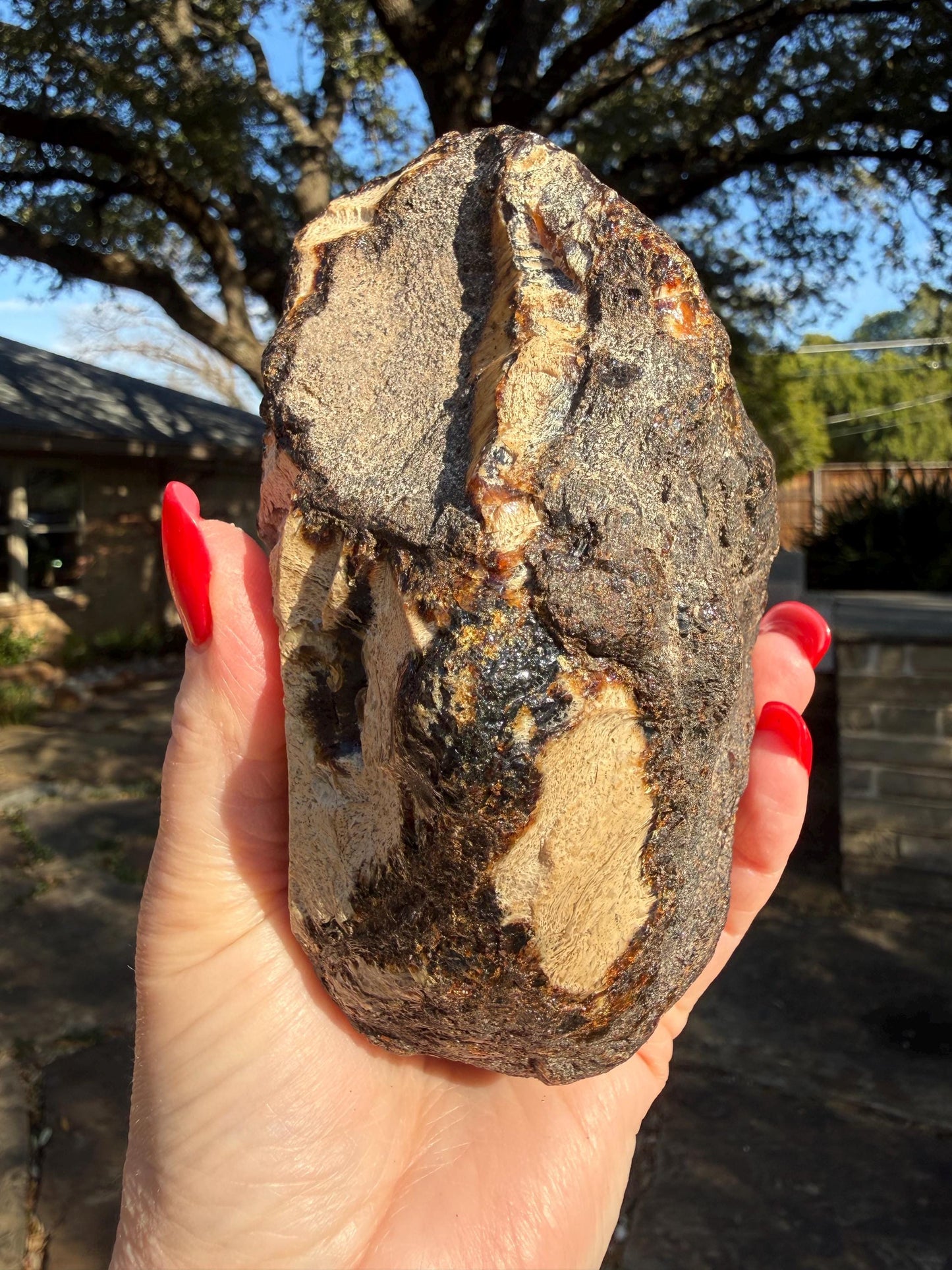 Large raw amber, Glorious Beautiful Amazing Color, altar, gift, new, 5.5”, healing crystals