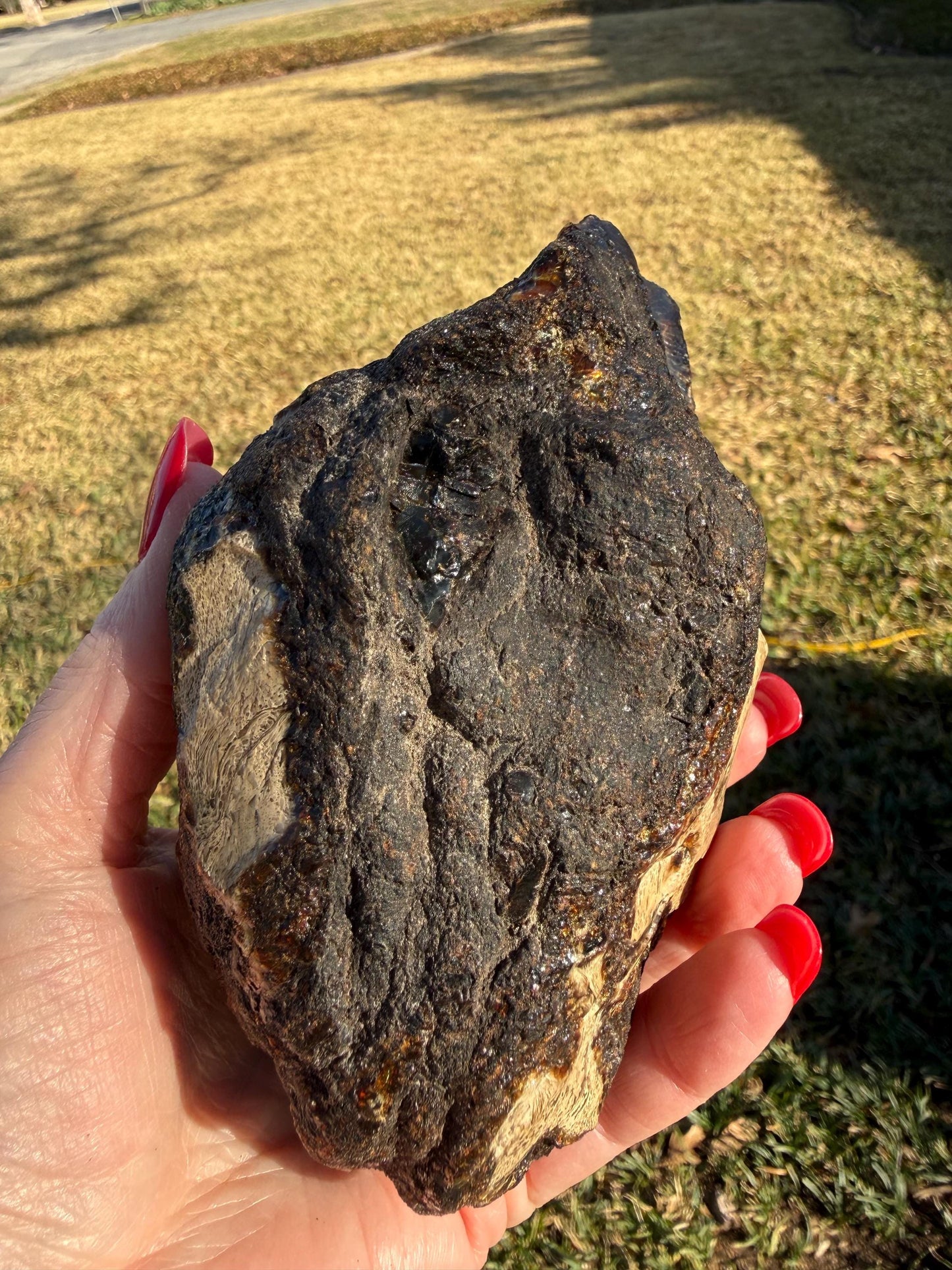 Large raw amber, Glorious Beautiful Amazing Color, altar, gift, new, 5.5”, healing crystals