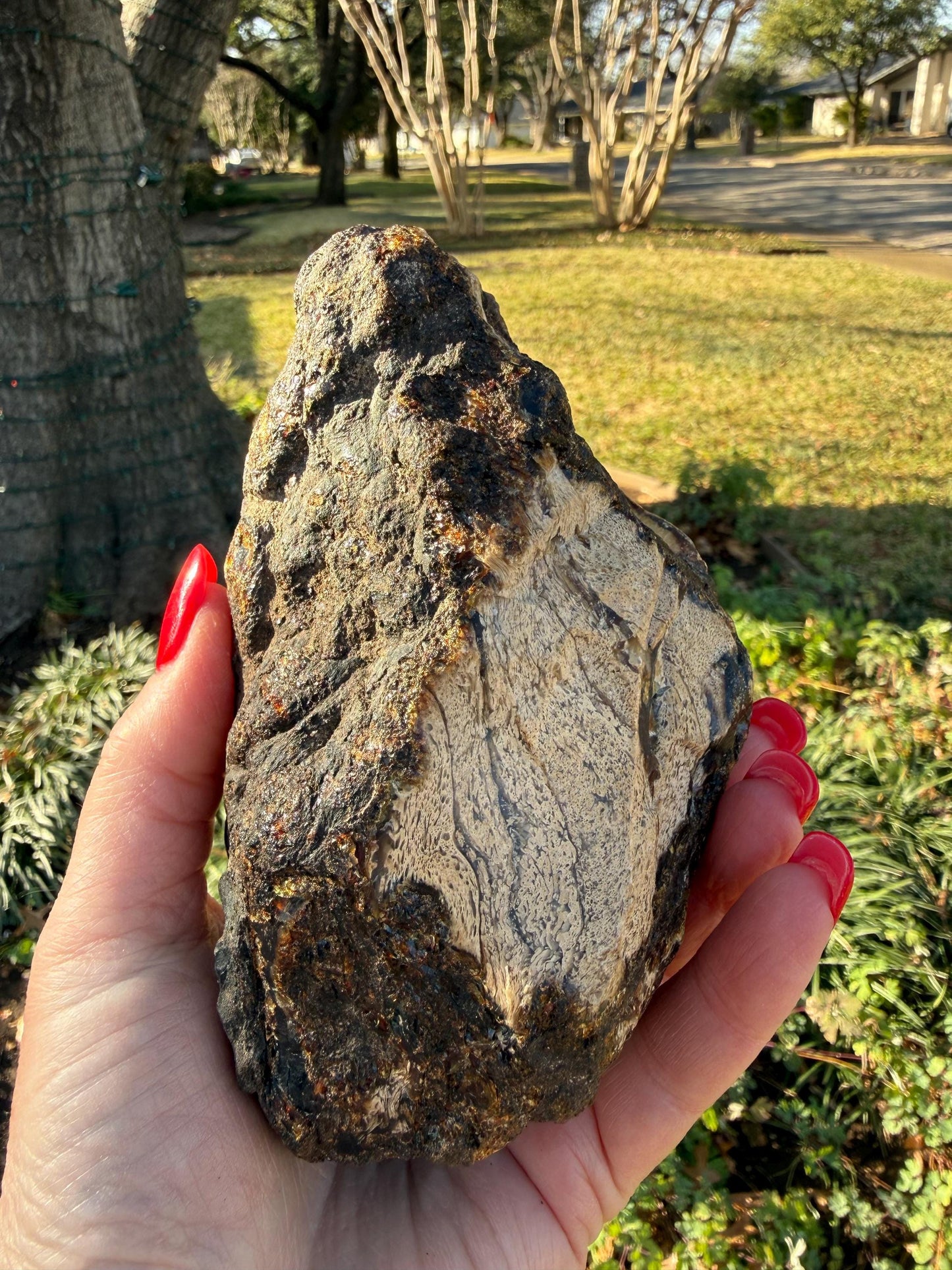 Large raw amber, Glorious Beautiful Amazing Color, altar, gift, new, 5.5”, healing crystals