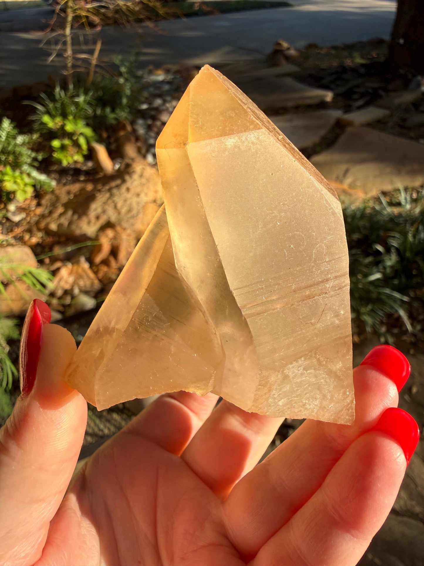 Rare Record Keeper Gold Twin Crossed Penetrator Lemurian, new, high quality, 3”, crystal healing, gift