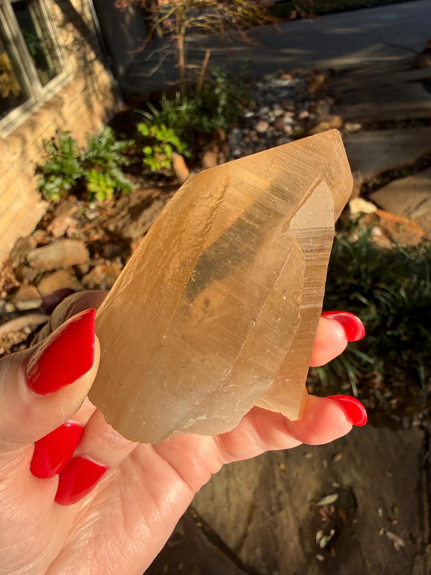 Rare Record Keeper Gold Twin Crossed Penetrator Lemurian, new, high quality, 3”, crystal healing, gift