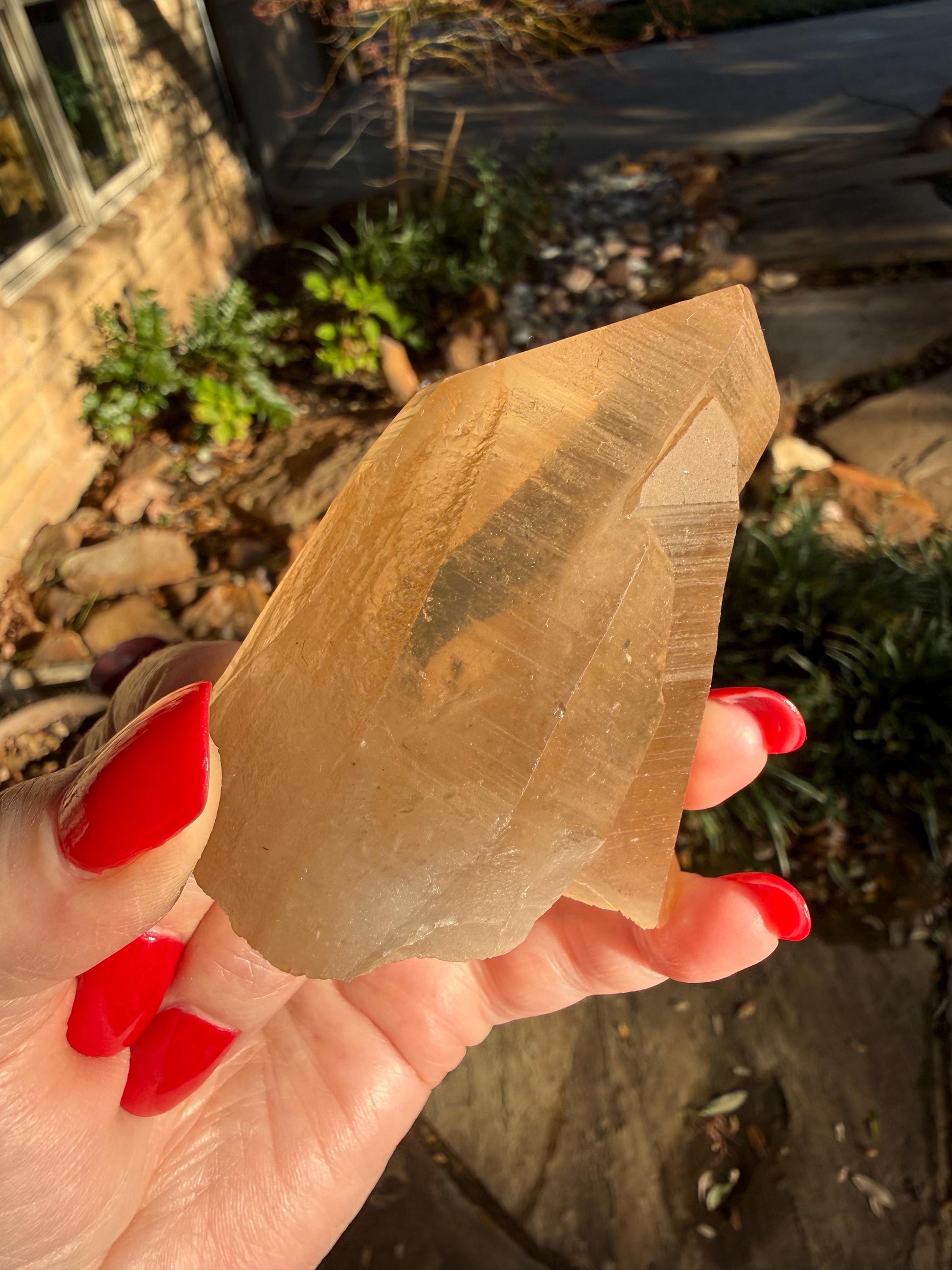 Rare Record Keeper Gold Twin Crossed Penetrator Lemurian, new, high quality, 3”, crystal healing, gift