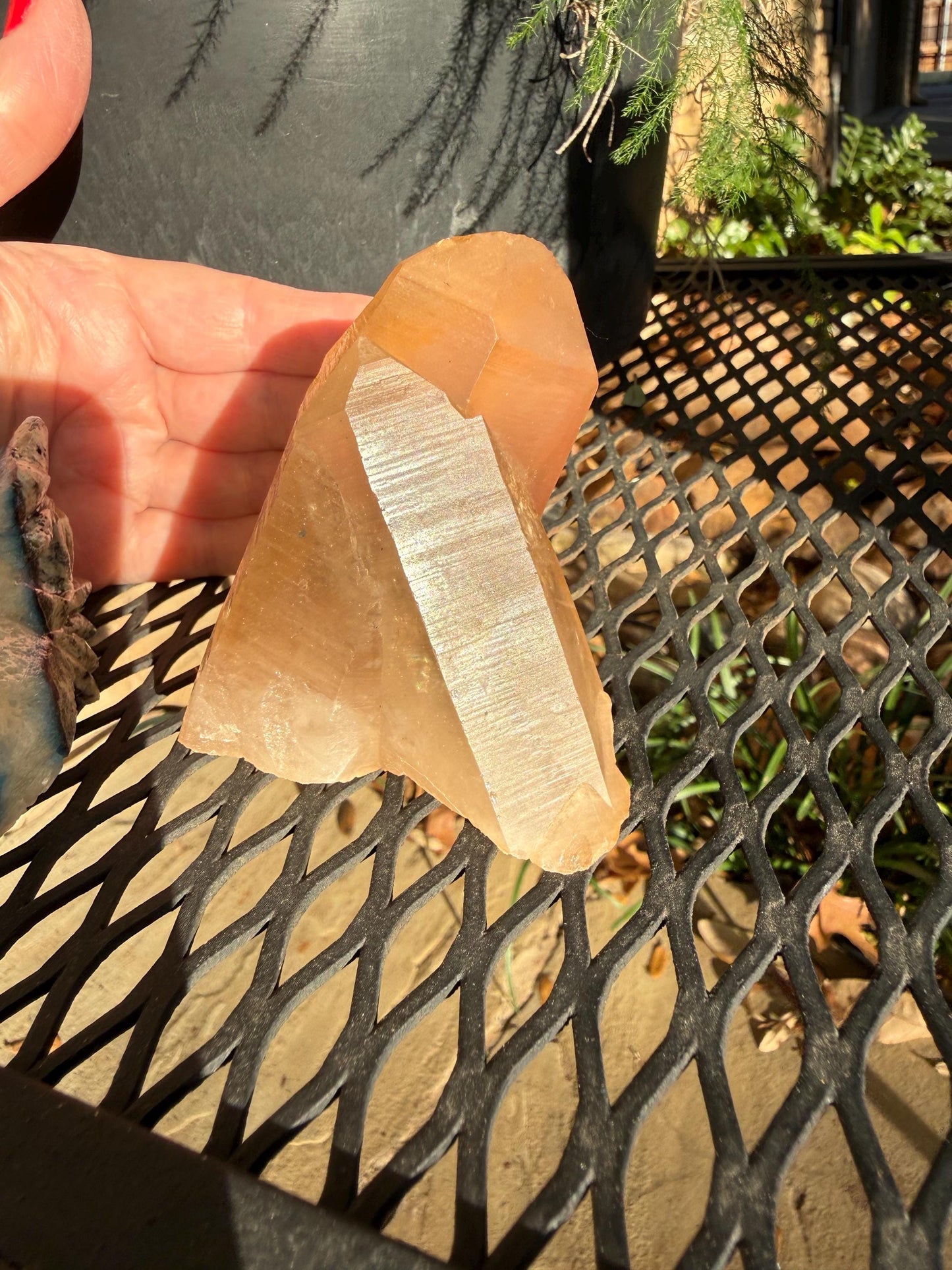 Rare Record Keeper Gold Twin Crossed Penetrator Lemurian, new, high quality, 3”, crystal healing, gift