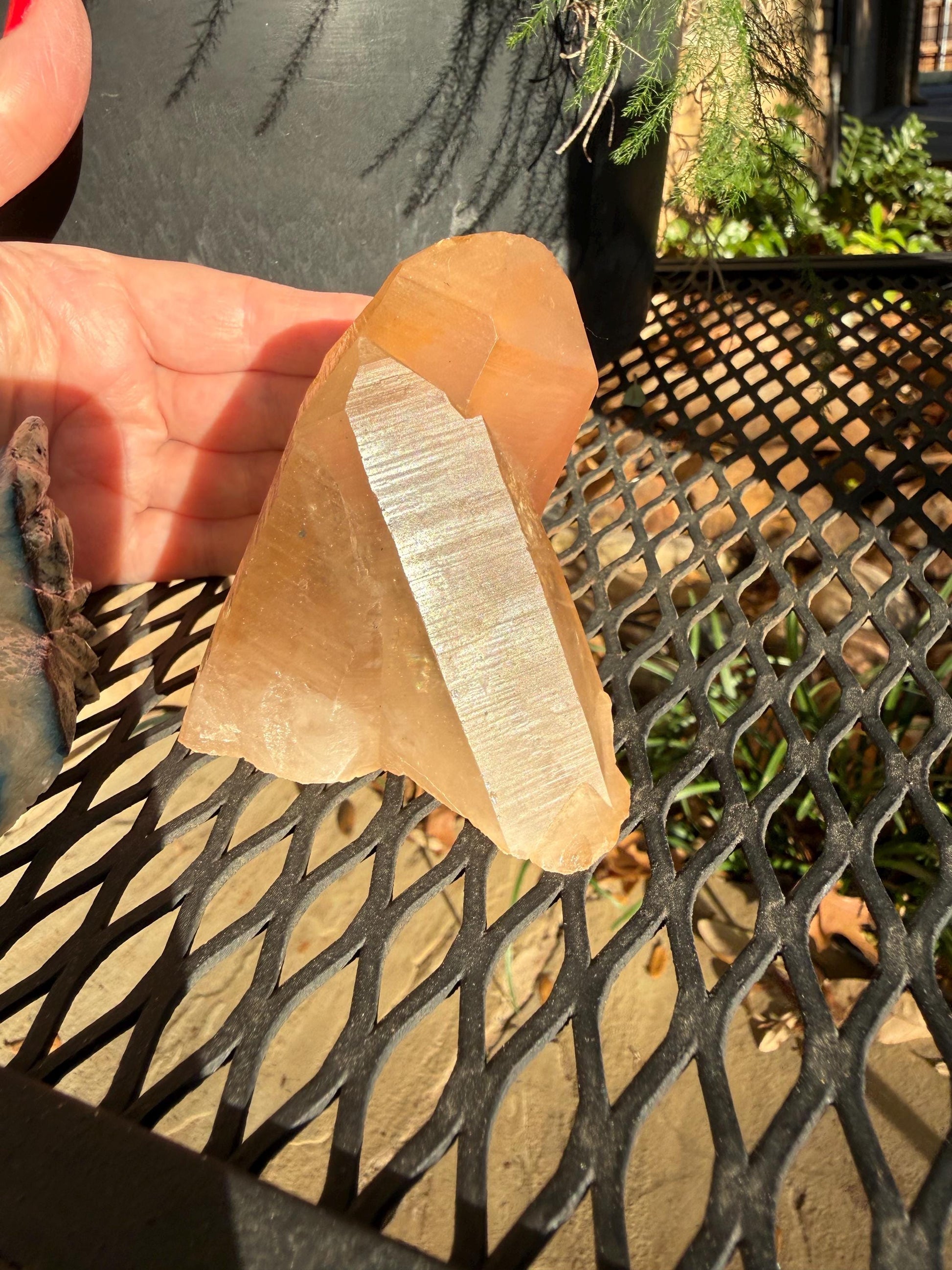 Rare Record Keeper Gold Twin Crossed Penetrator Lemurian, new, high quality, 3”, crystal healing, gift