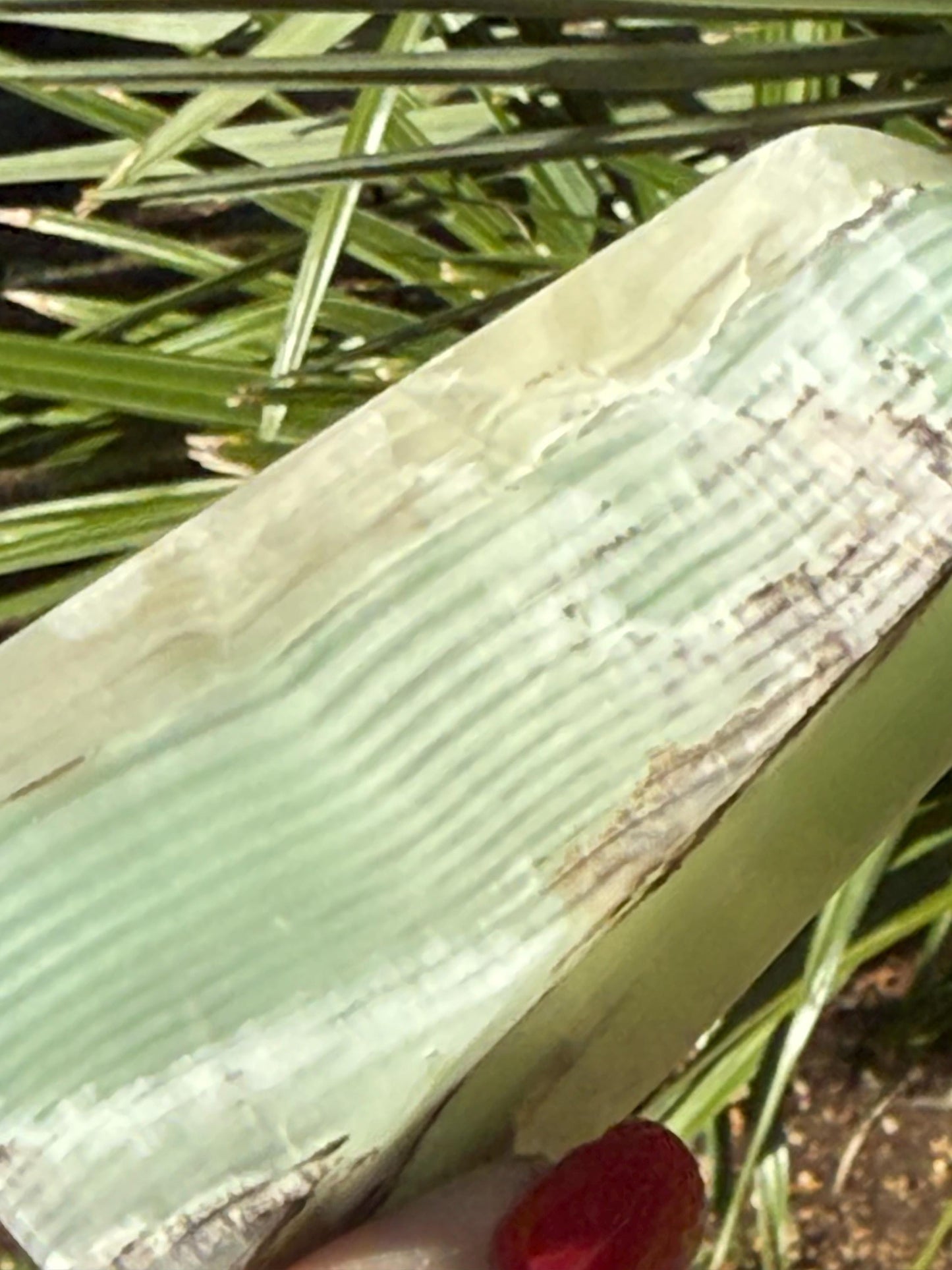 Fingerprint Calcite Tower, 3.5”, altar, crystals healing, high vibration crystals