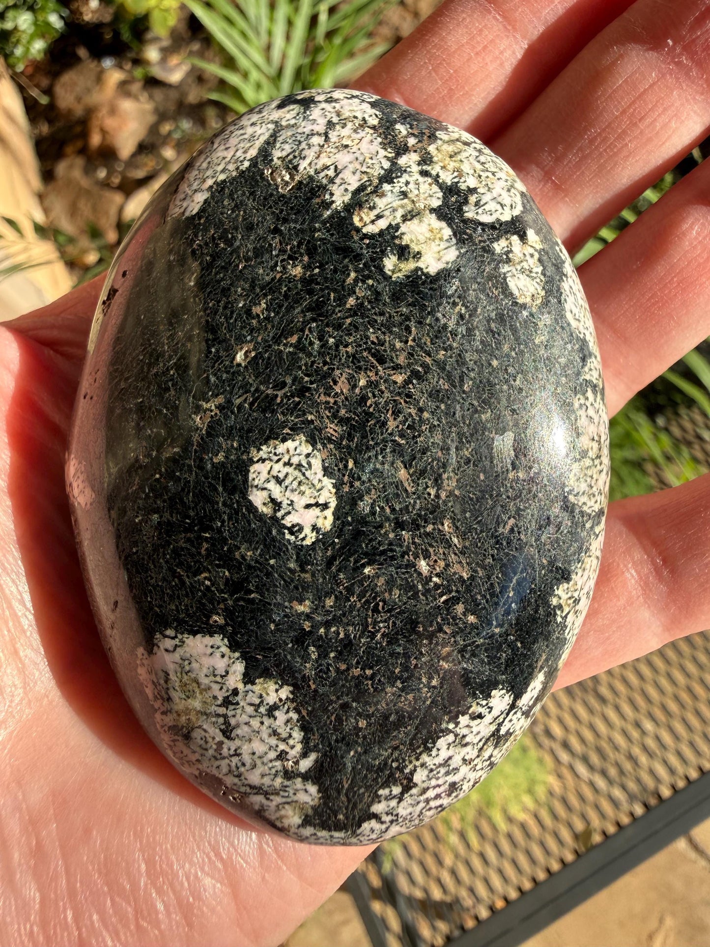 Extra-Large Snowflake Obsidian Palm Stone, 3.1”, gift, altar, high frequency crystals