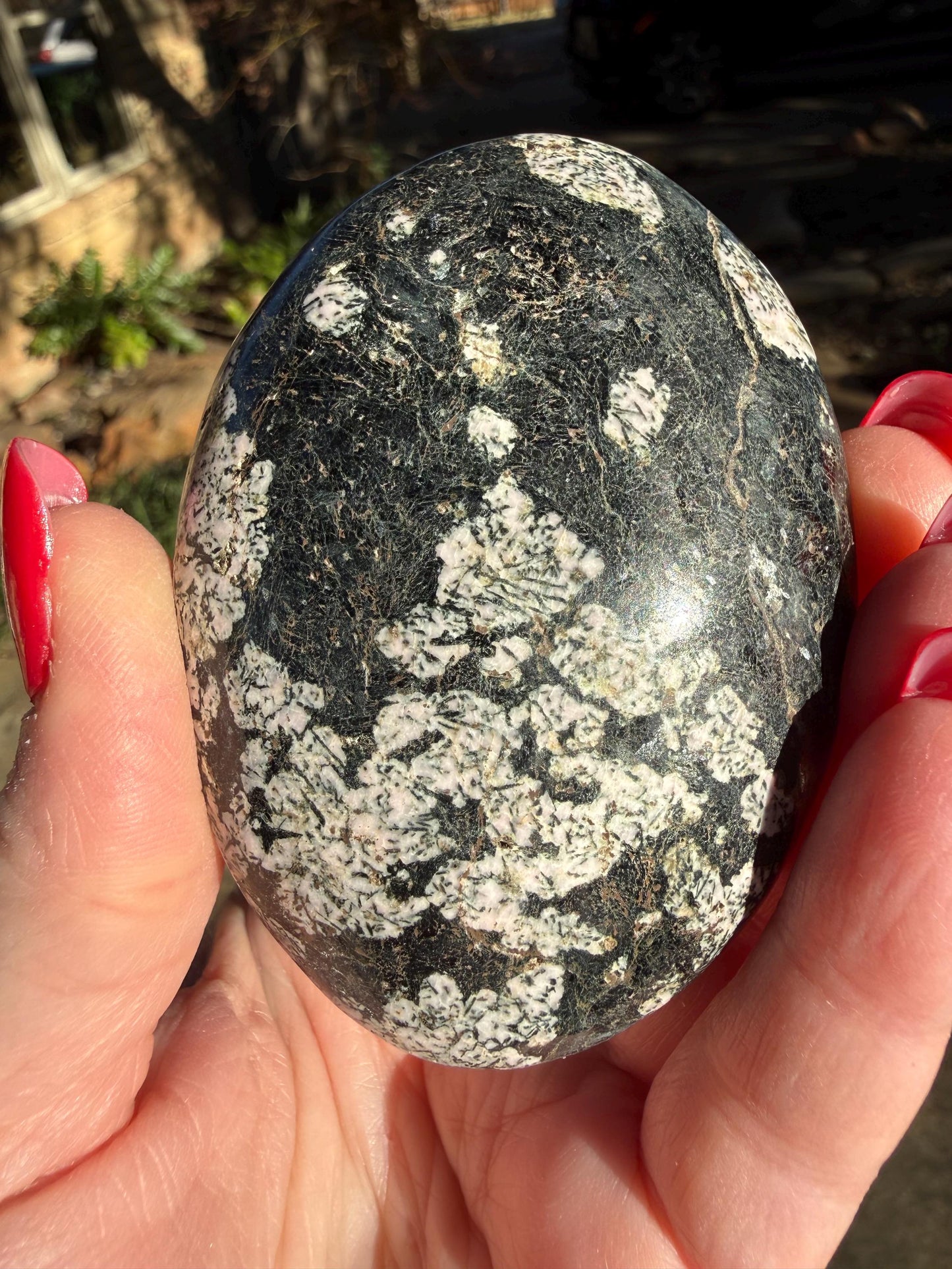 Extra-Large Snowflake Obsidian Palm Stone, 3.1”, gift, altar, high frequency crystals