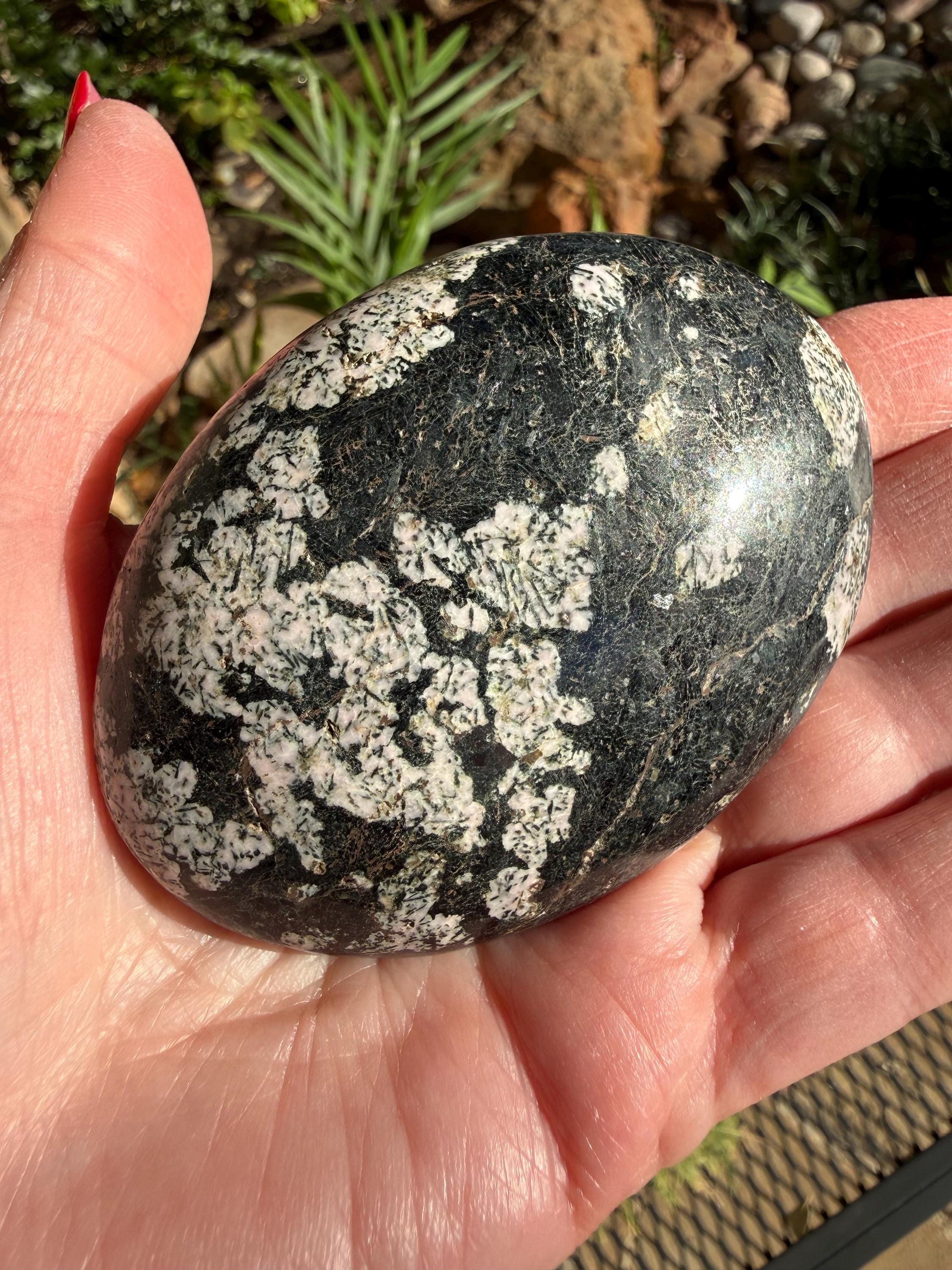 Extra-Large Snowflake Obsidian Palm Stone, 3.1”, gift, altar, high frequency crystals