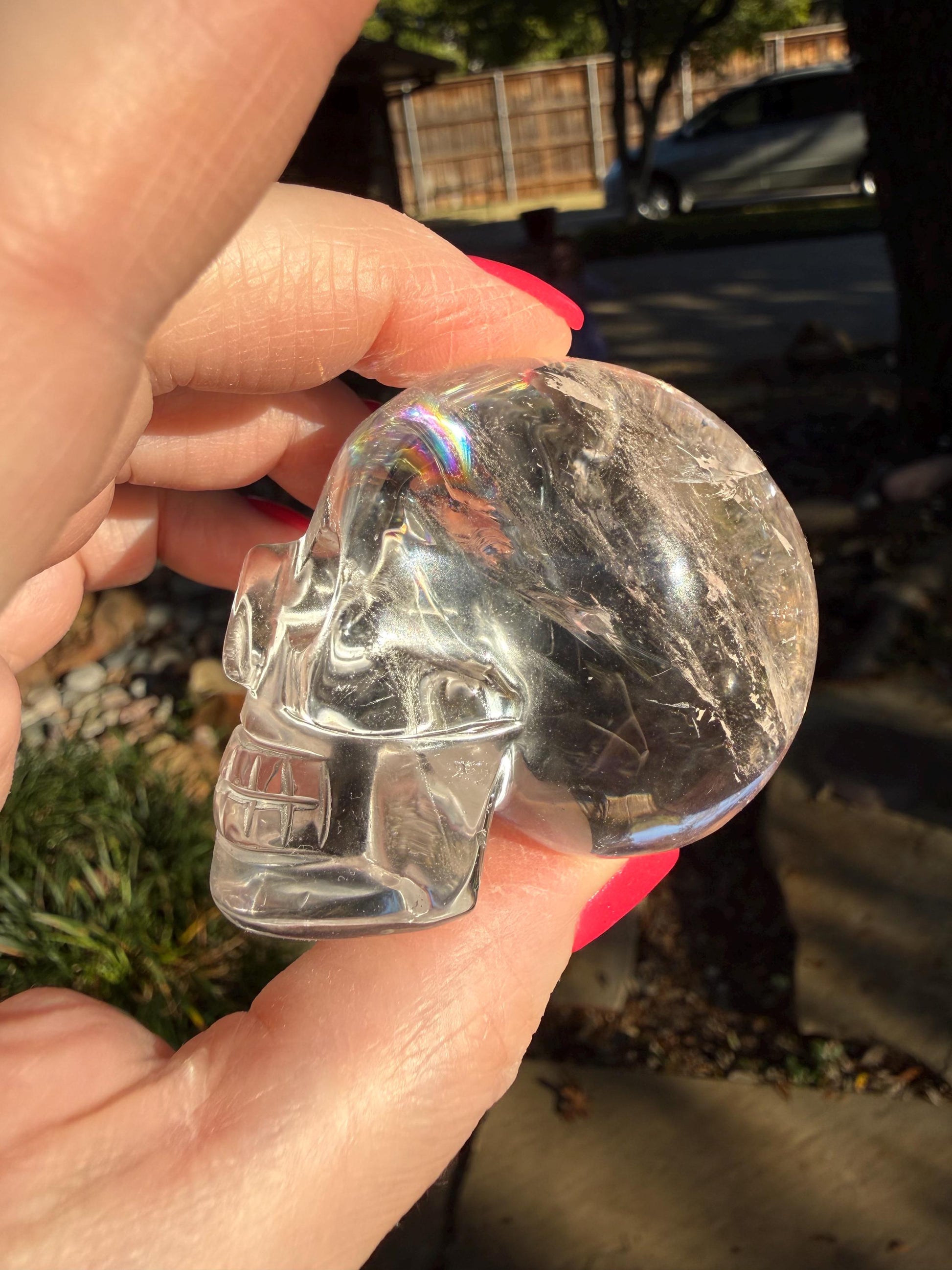 Lemurian Quartz stunning skull carving, high vibration crystals, altar, 2.25”