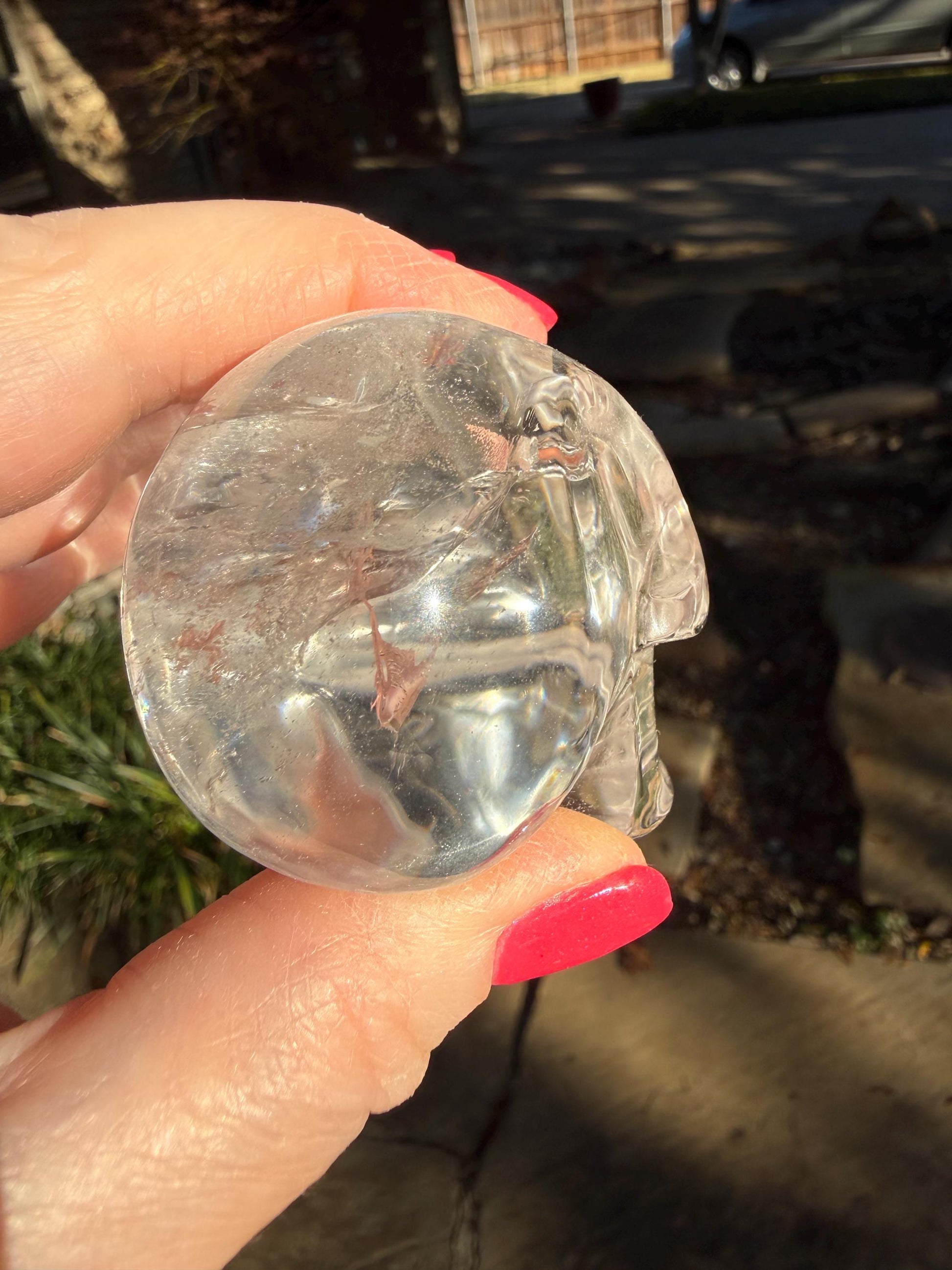 Lemurian Quartz stunning skull carving, high vibration crystals, altar, 2.25”