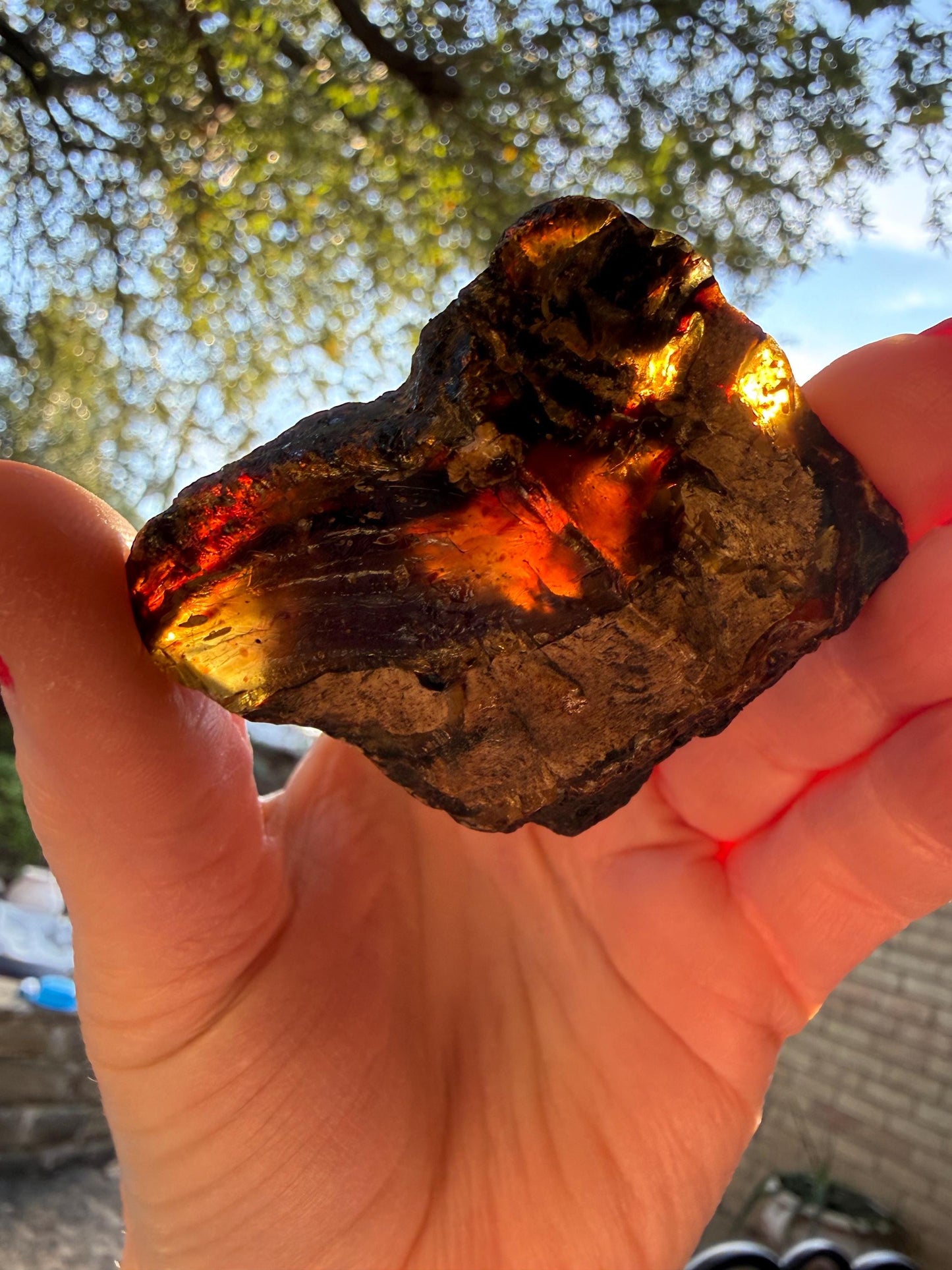 Raw amber chunk, New, altar, gift, high vibration crystals, natural, crystal healing, 1”