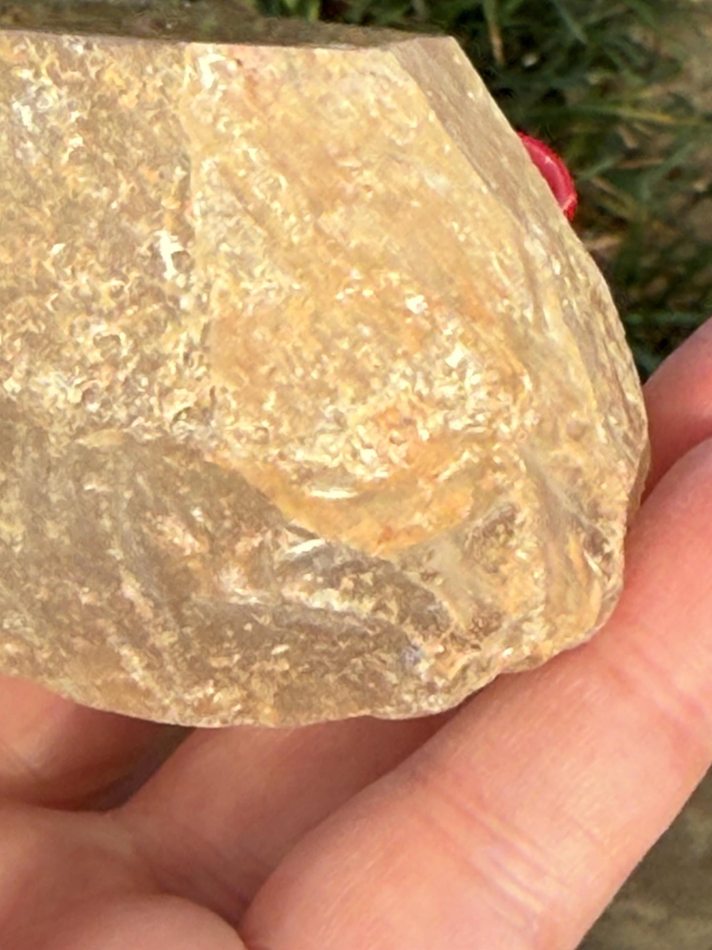 Golden Healer Dragon egg, new, altar, gifts, crystal healing, high vibration crystals, 3.75”