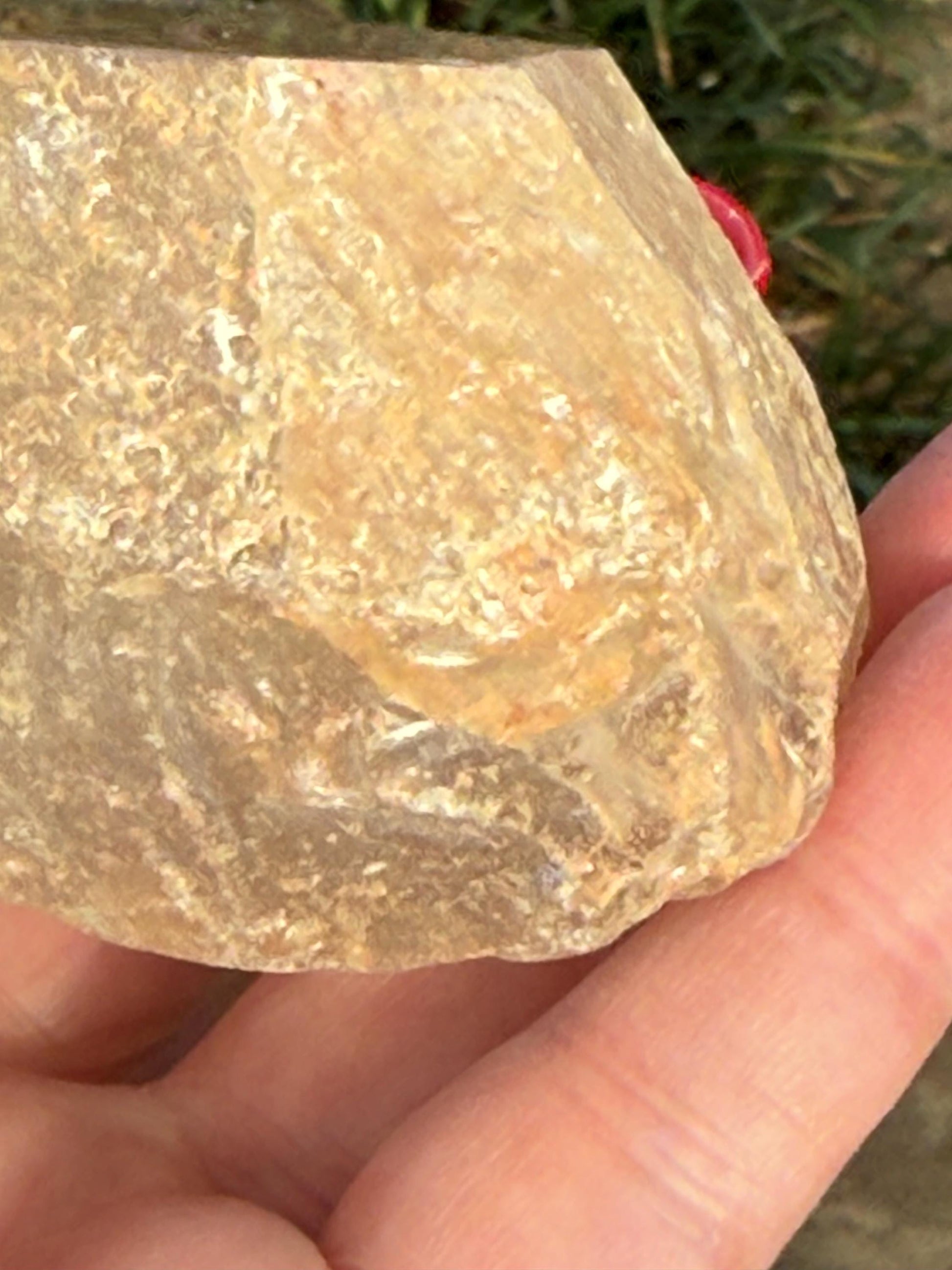 Golden Healer Dragon egg, new, altar, gifts, crystal healing, high vibration crystals, 3.75”