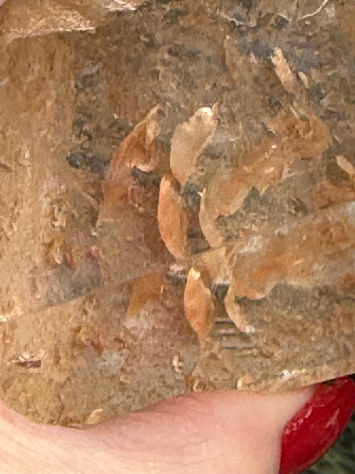 Golden Healer Dragon egg, new, altar, gifts, crystal healing, high vibration crystals, 3.75”