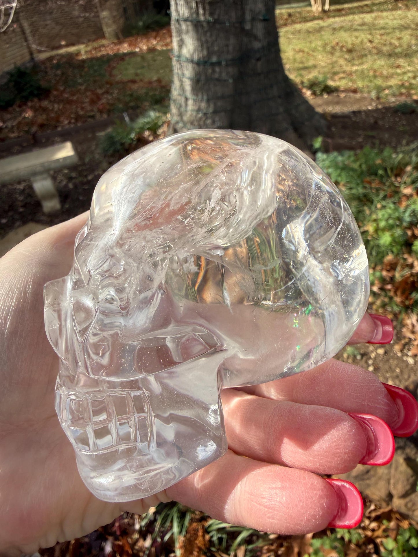 4” Lemurian Quartz stunning skull carving, high vibration crystals, altar, King Arthur