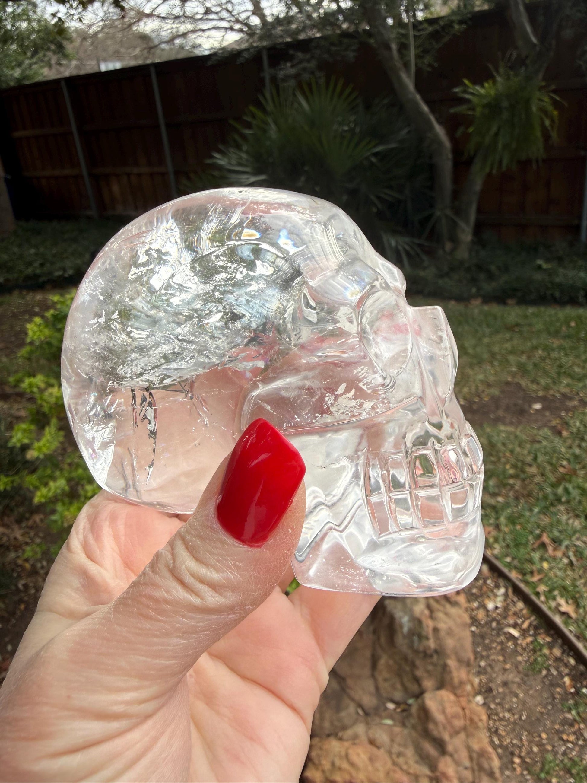 4” Lemurian Quartz stunning skull carving, high vibration crystals, altar, King Arthur