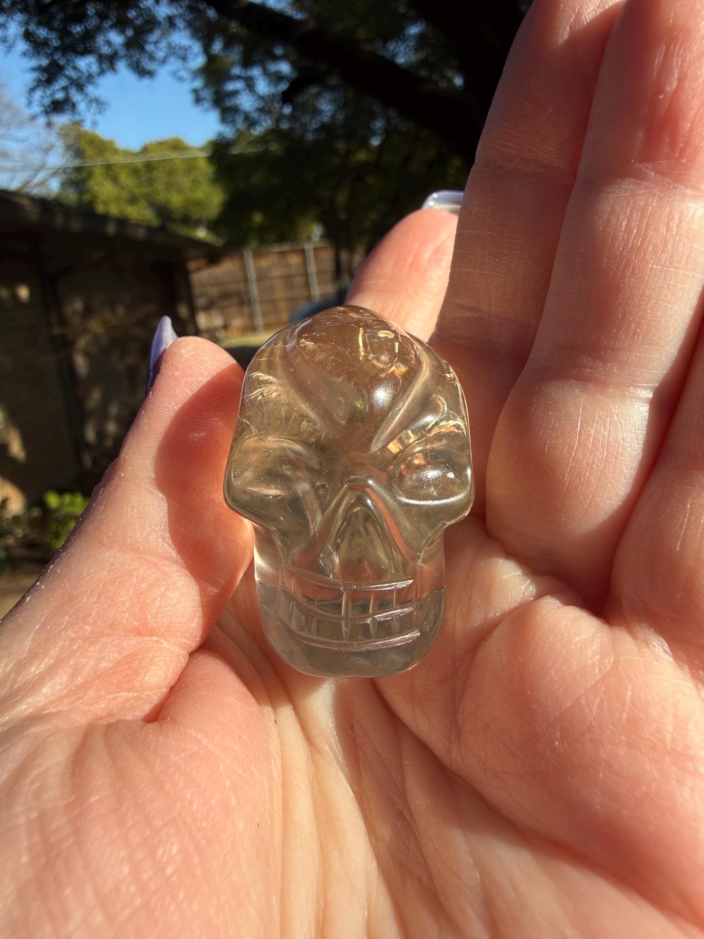 Citrine Travelers Skull, 2.3”, gifts, high vibration crystals, crystal healing, abundance skulls