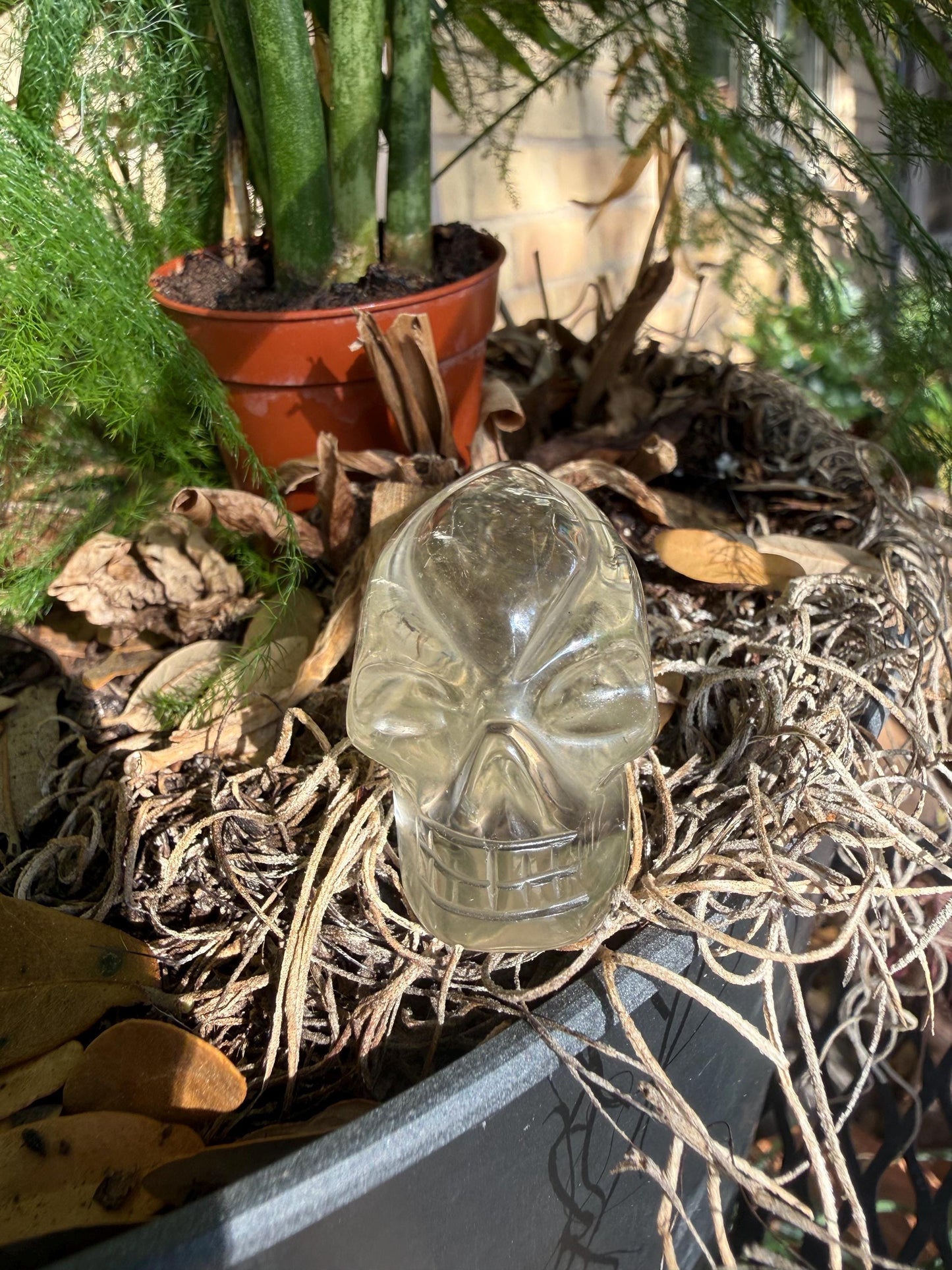 Citrine Travelers Skull, 2.3”, gifts, high vibration crystals, crystal healing, abundance skulls